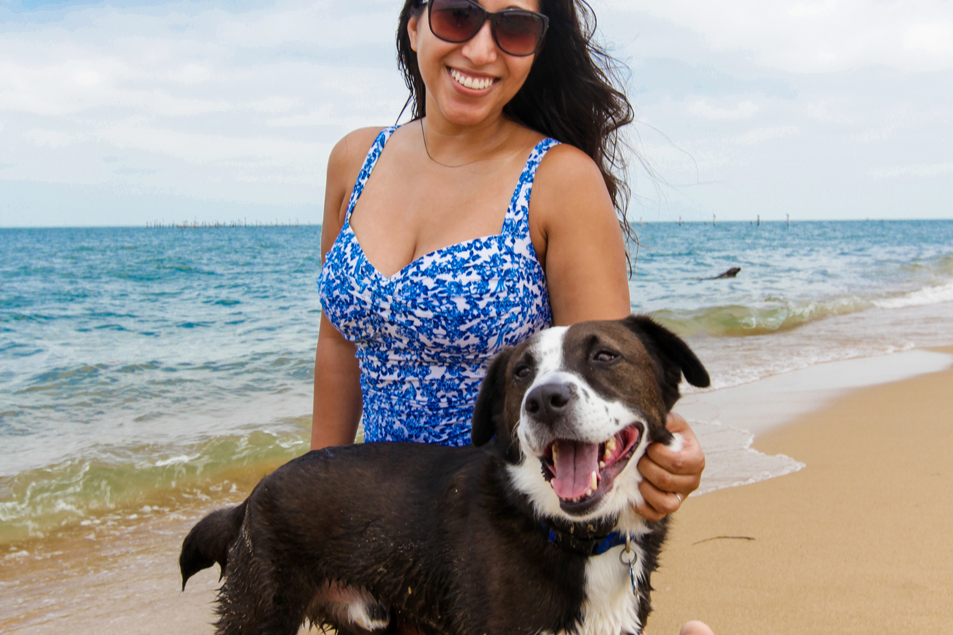 DOGS and their HUMANS. Photographer and videographer in Tel Aviv Mary Pann