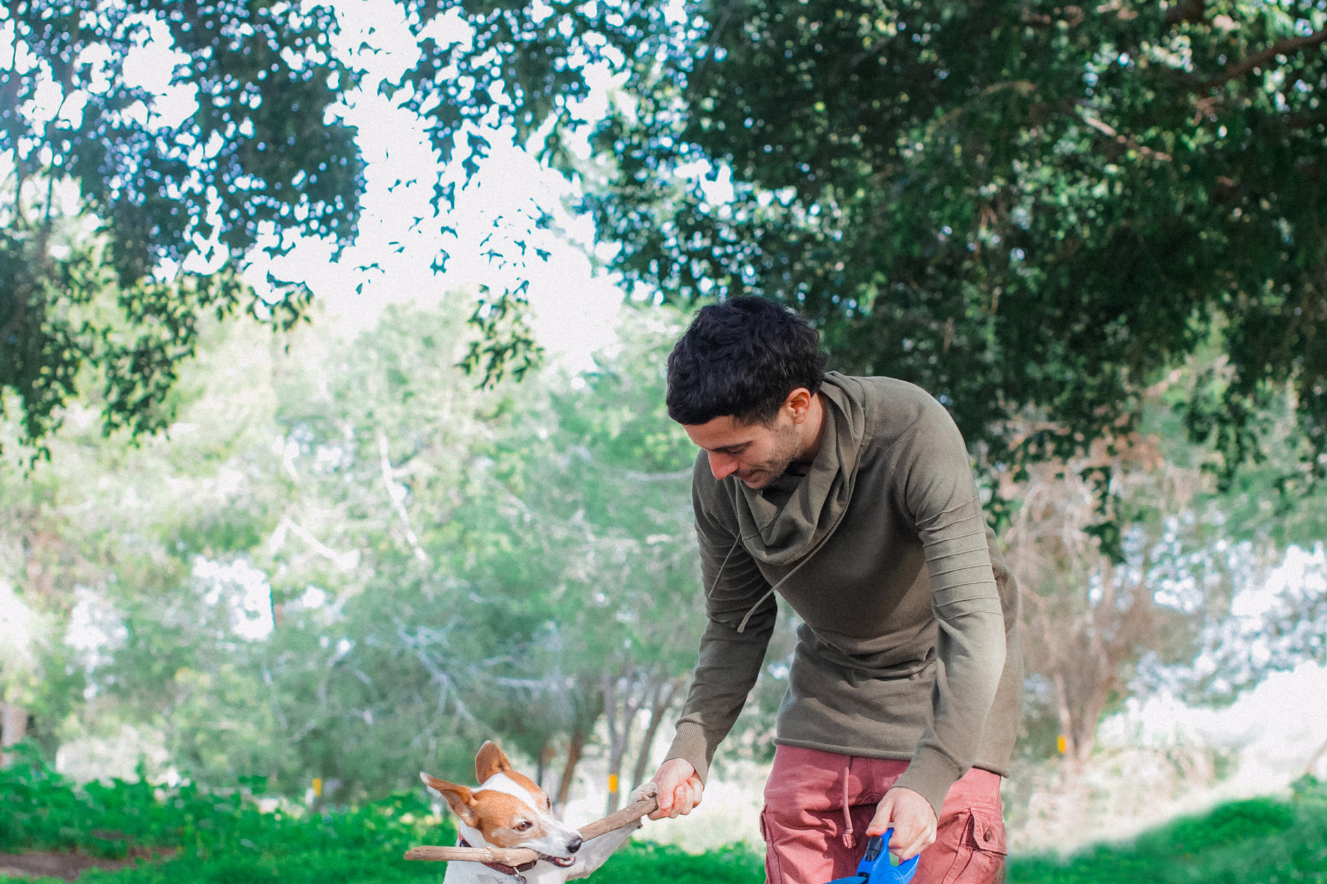 DOGS and their HUMANS. Photographer and videographer in Tel Aviv Mary Pann