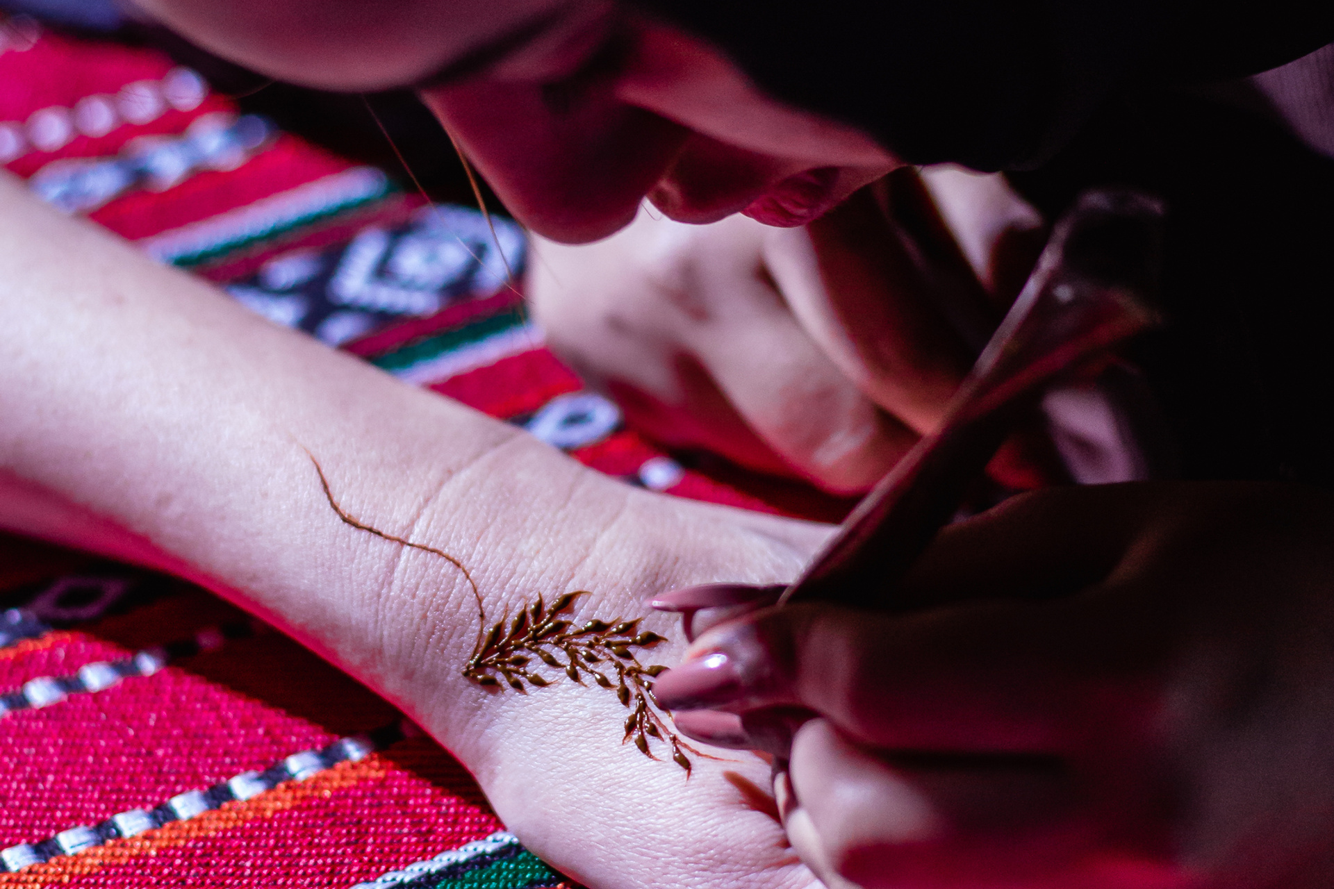 Tamim & Veronika. Indian Dinner
