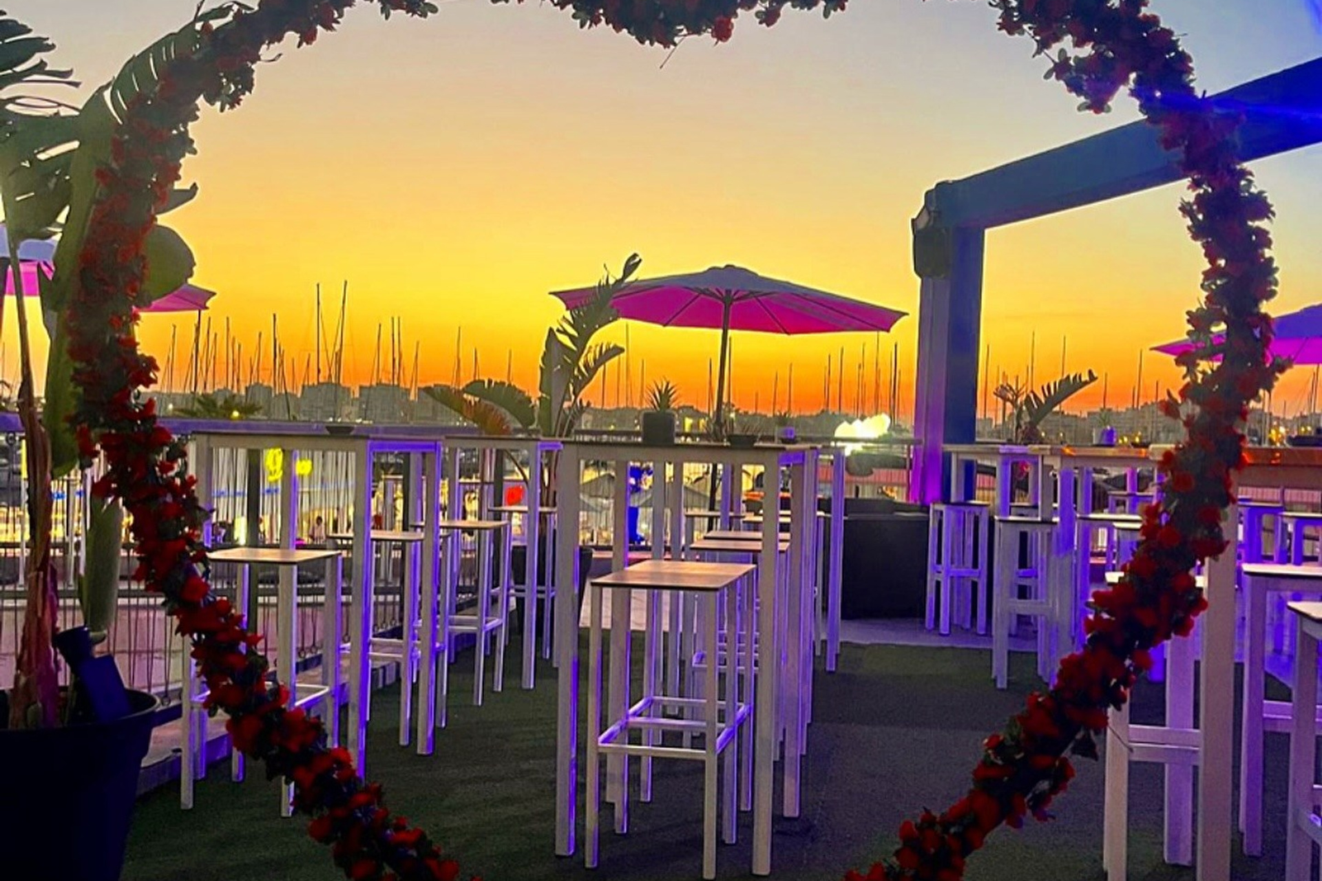 Где отдохнуть в Торревьехе — лучшие бары, клубы и концертные залы | FOTKAI