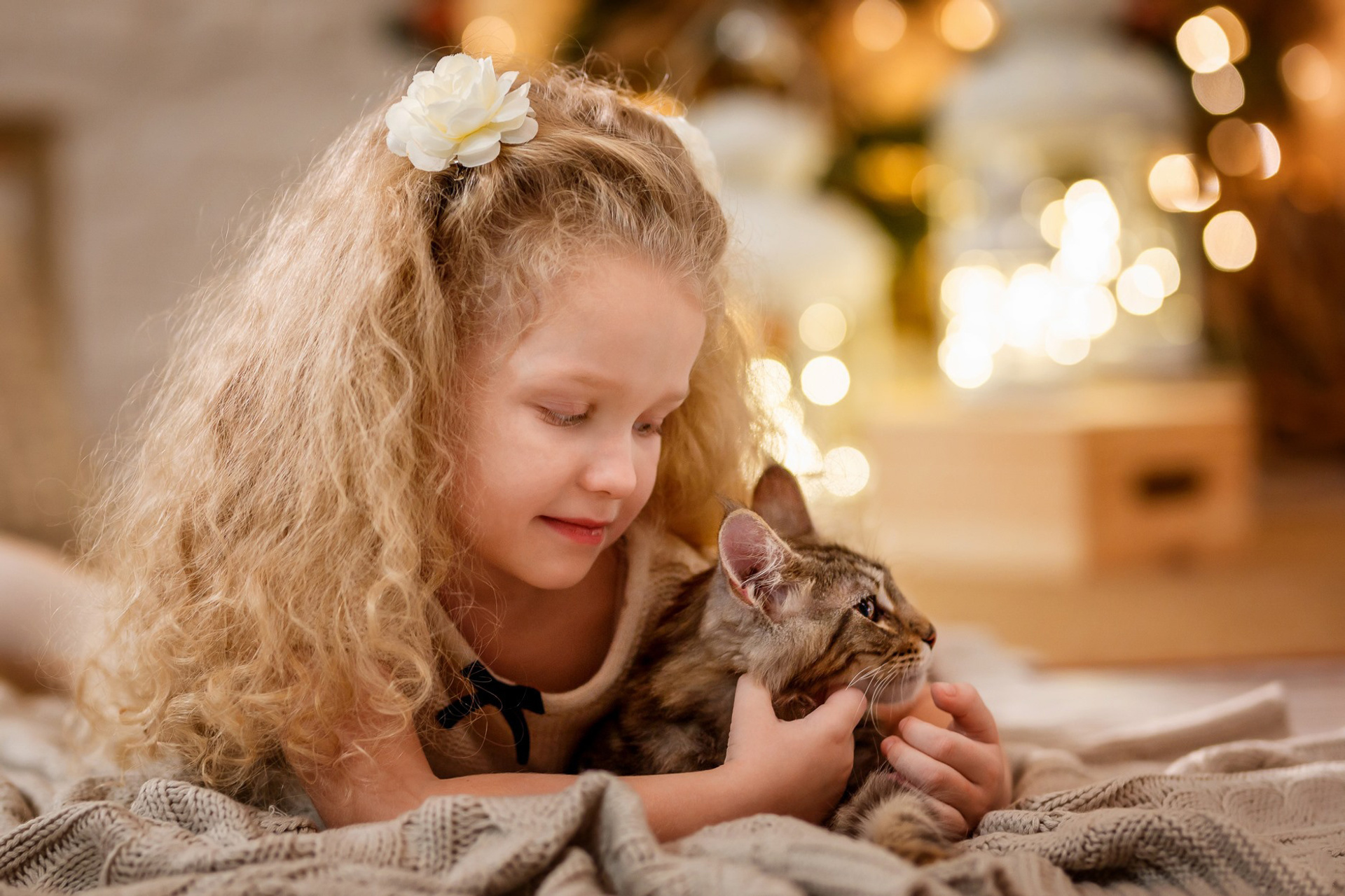 Принцесса и Кот