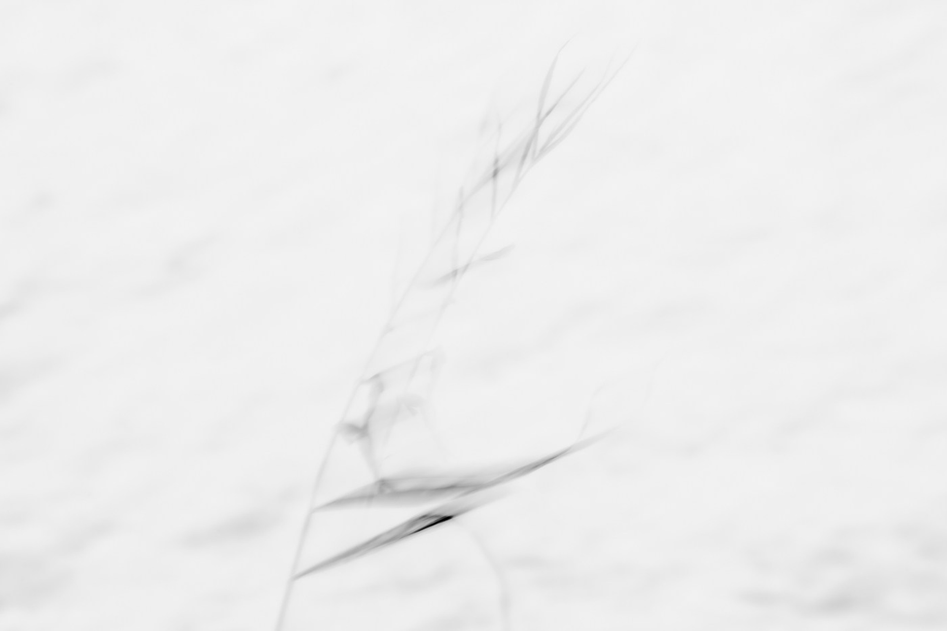 Сон на озере