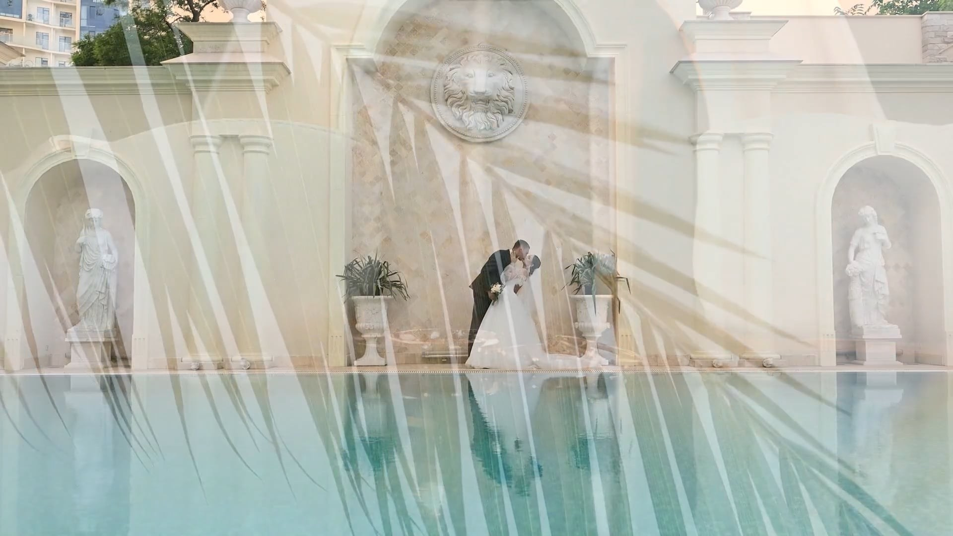 Свадебные ролики