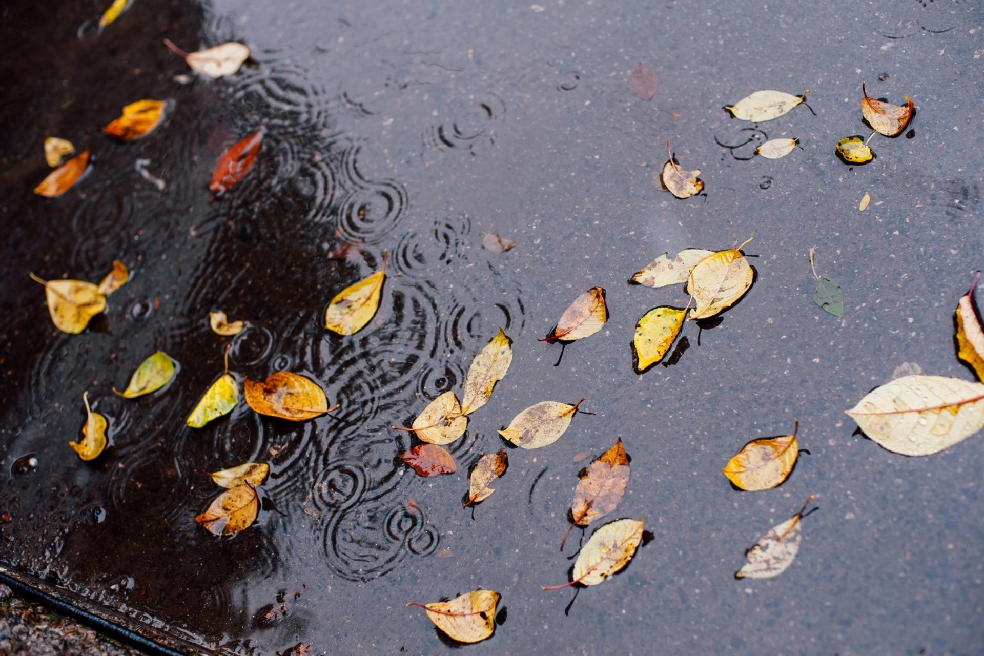 Happy wedding in the pouring rain