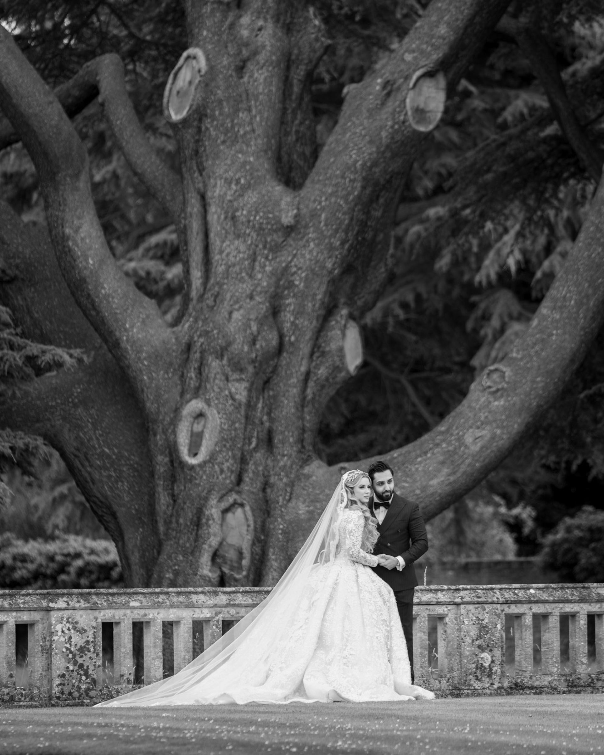 ANDREEA & AMAR Wedding