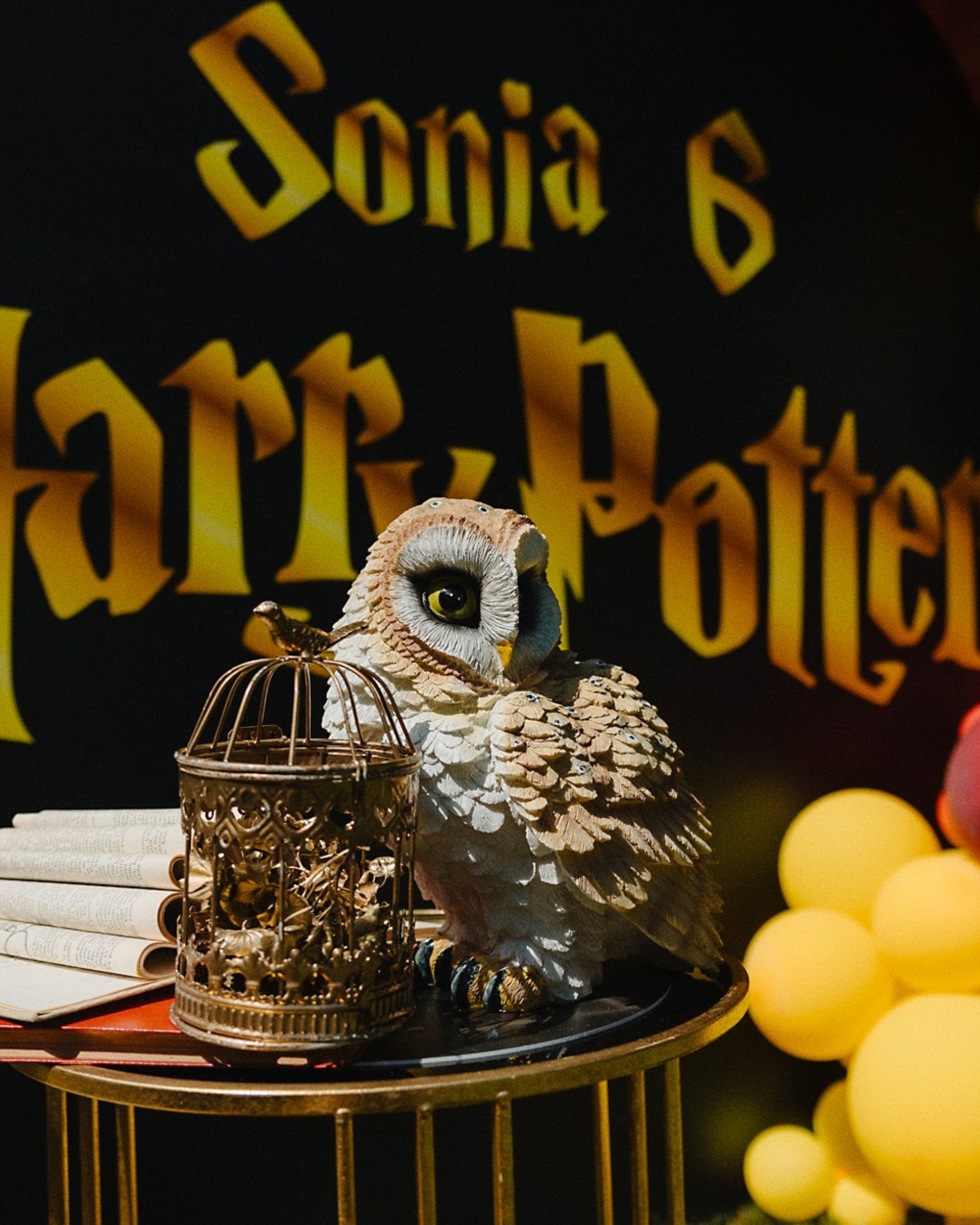 Гарри Поттер стайл