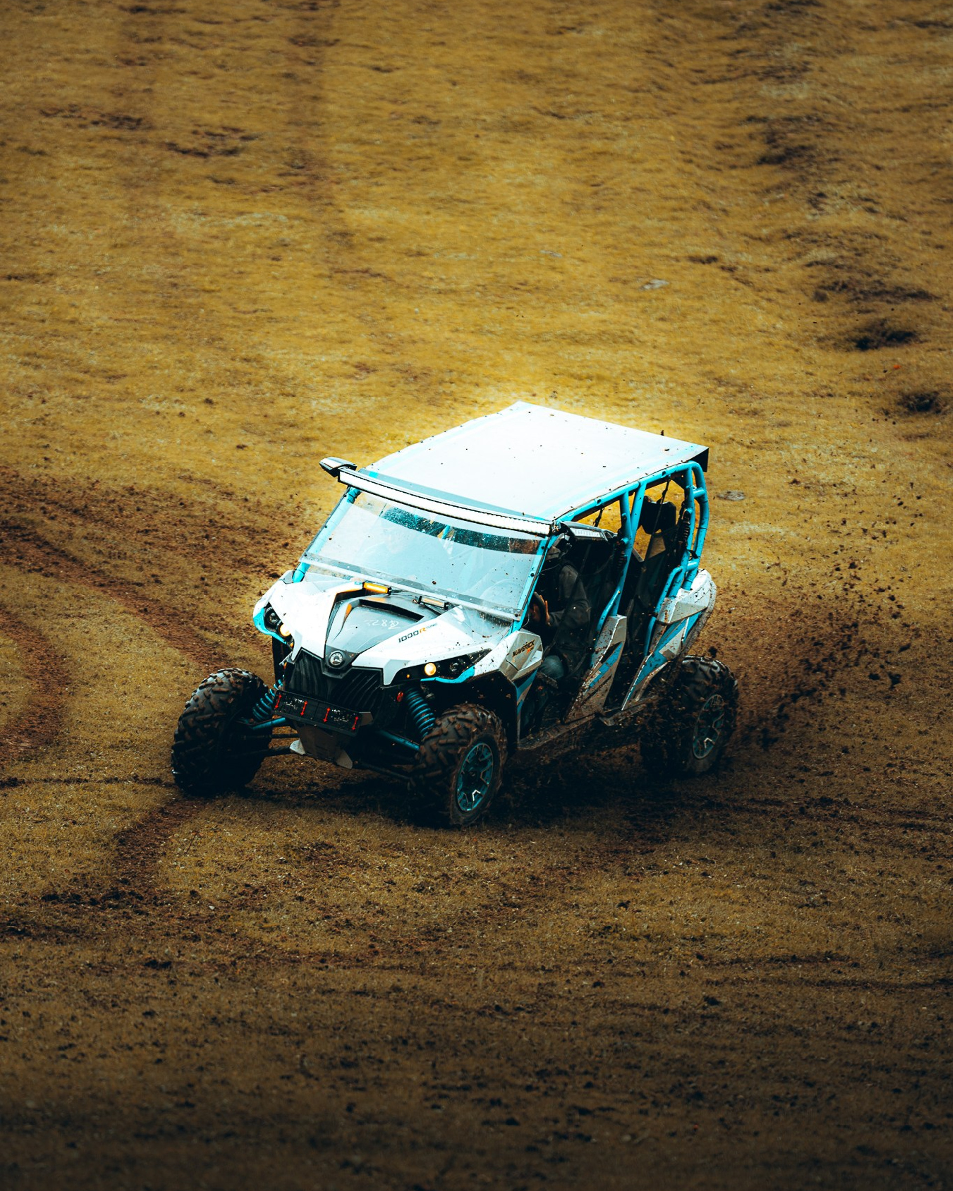 BUGGY