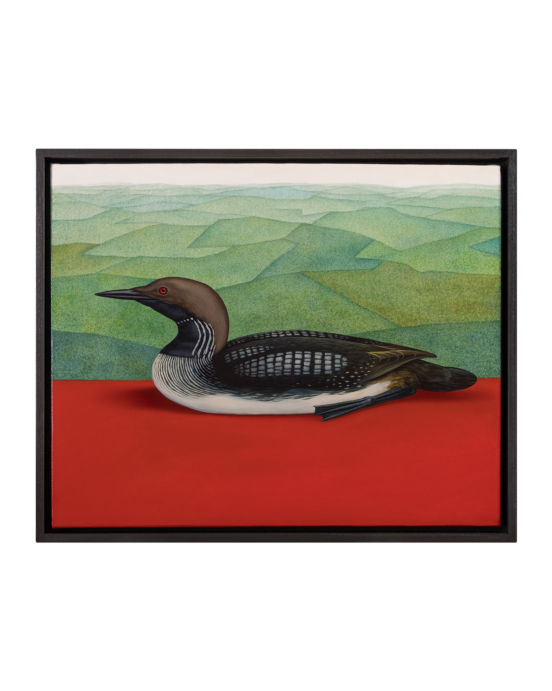 Nature Morte (Gavia arctica)