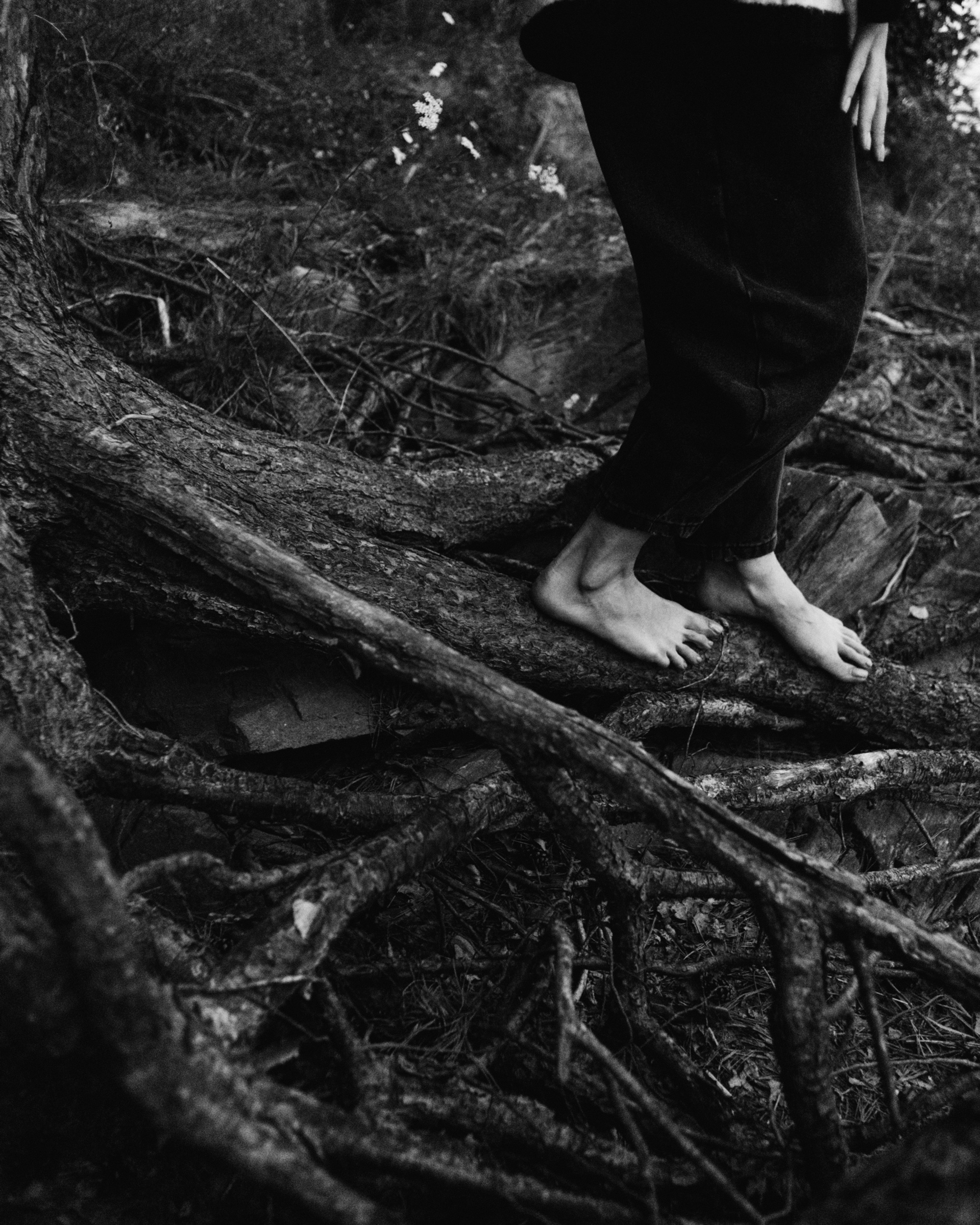 #1 blended in&nbsp;with nature