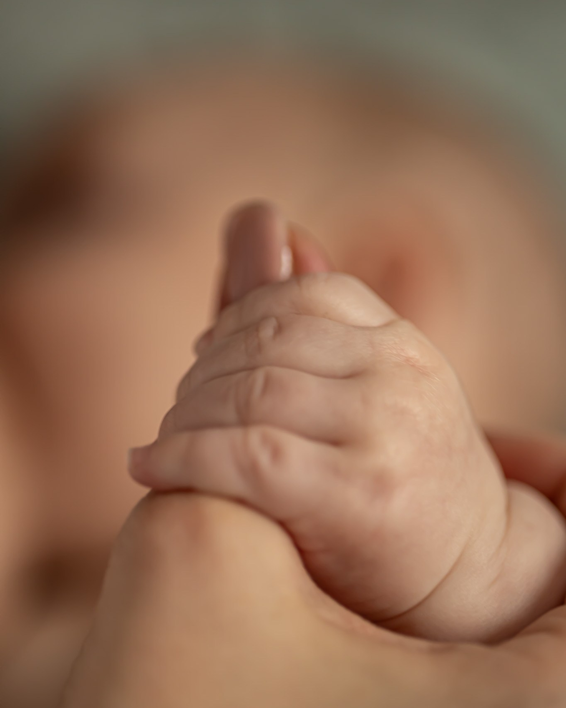 Newborn