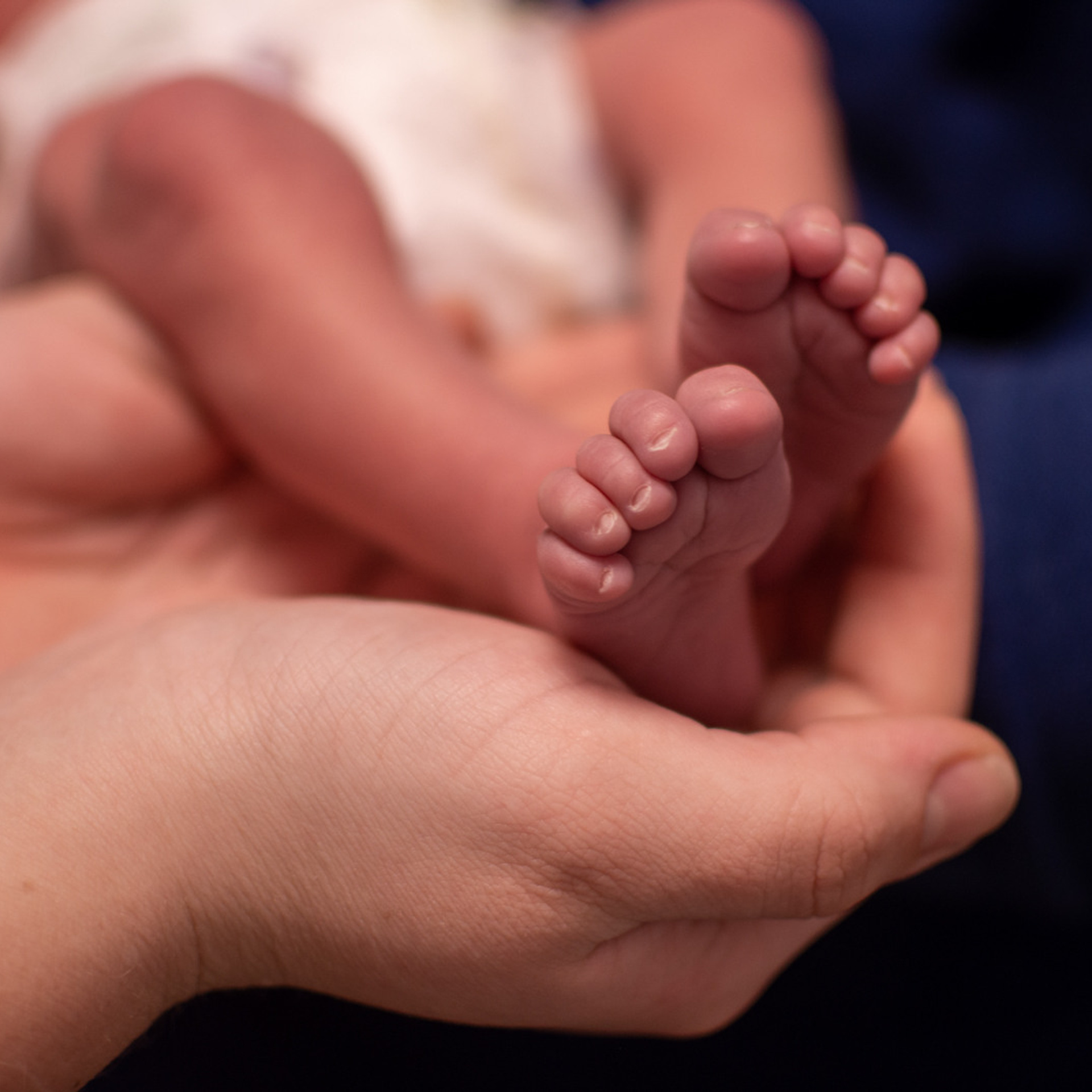 Отзывы. Детский и семейный фотограф Алёна Васильева