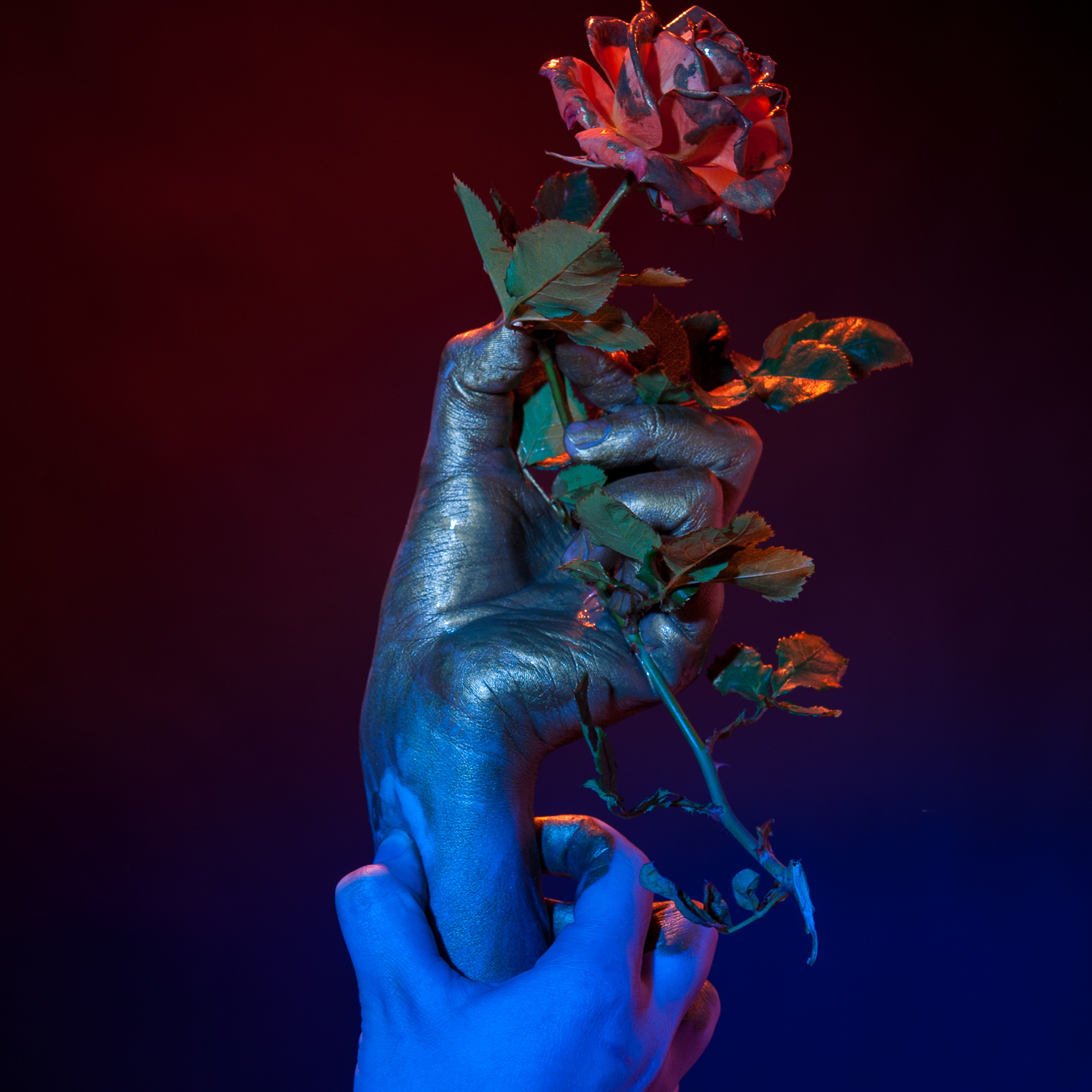 ART 2014 — 2020. Люба Тернавская. Фотограф Иерусалим. Фотограф Израиль