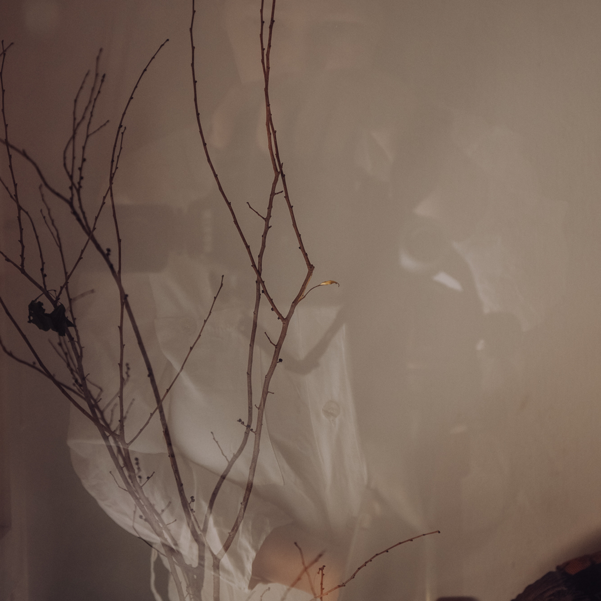 The science of sleep. Photographer in Israel Luba Ternavskaya