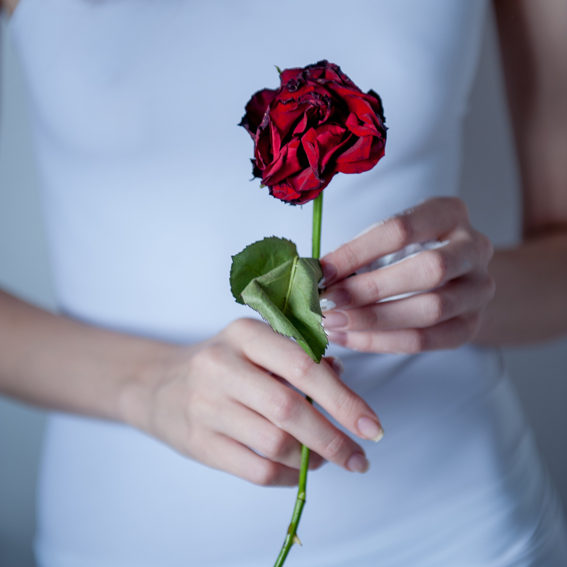 W h i t e. Photographer in Israel Luba Ternavskaya