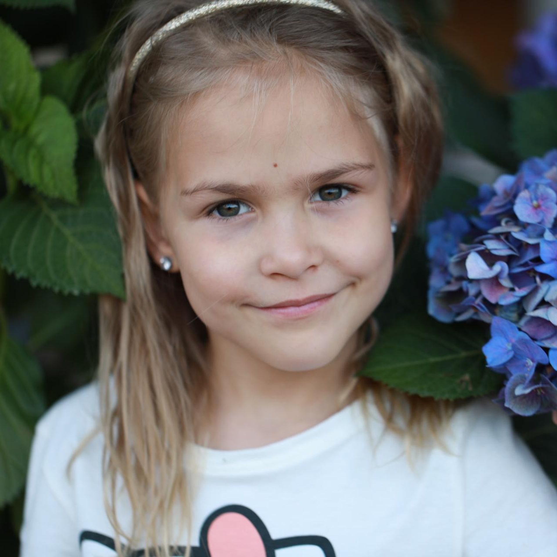 Гортензії. Наталя Твердохліб - дитячий та сімейний фотограф в Дрездені, Німеччина