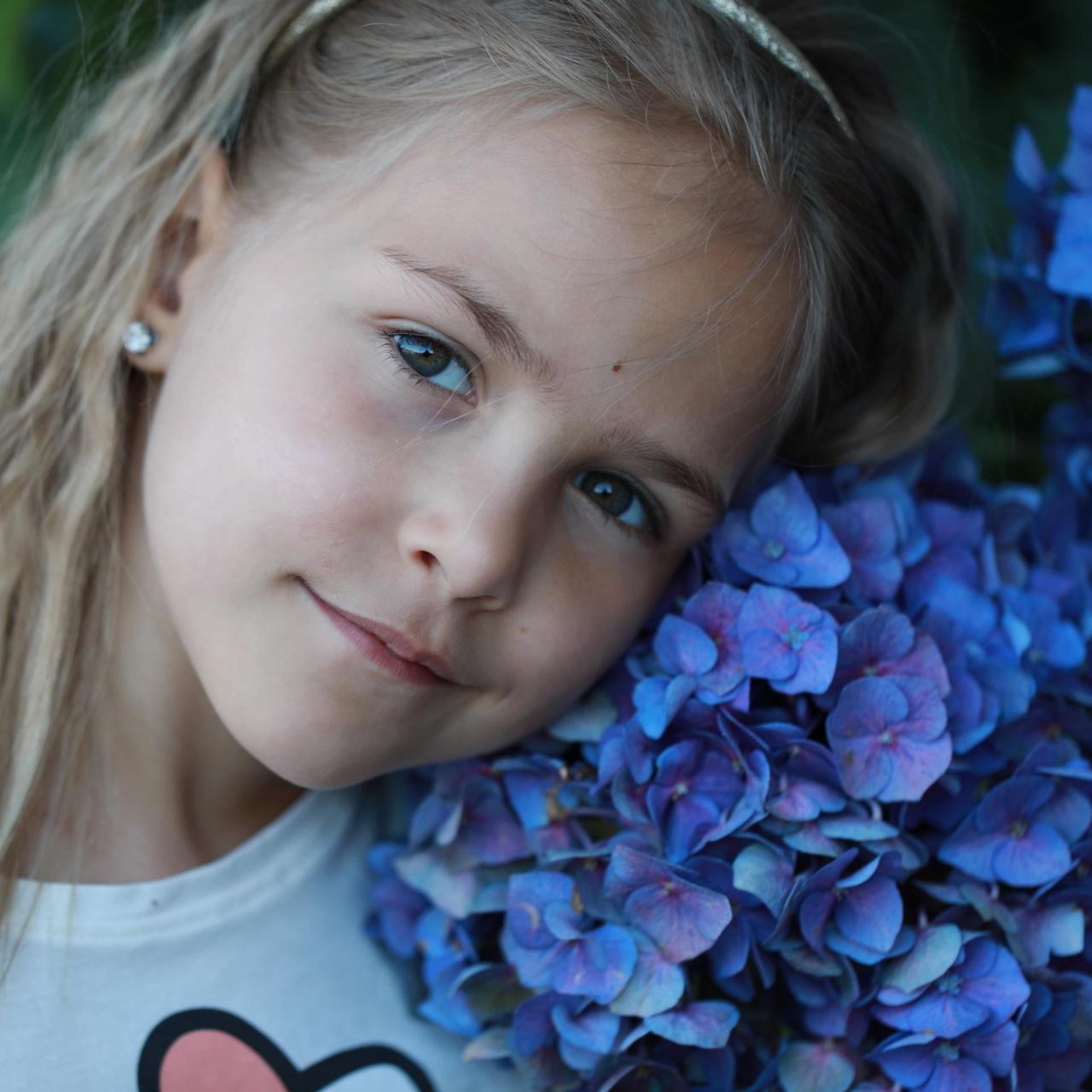 Гортензії. Наталя Твердохліб - дитячий та сімейний фотограф в Дрездені, Німеччина