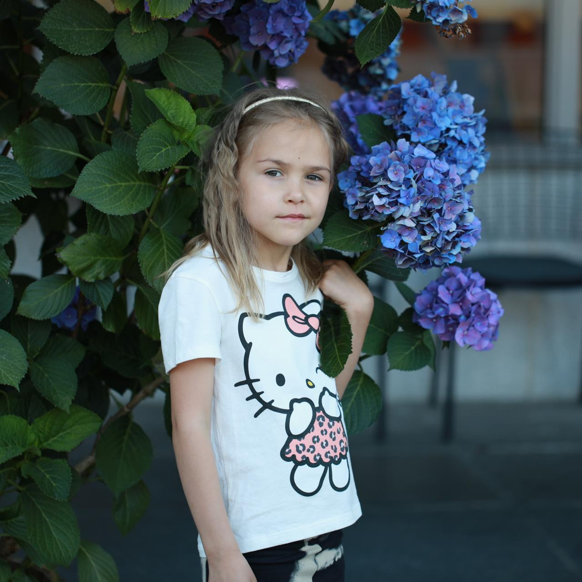 Гортензії. Наталя Твердохліб - дитячий та сімейний фотограф в Дрездені, Німеччина