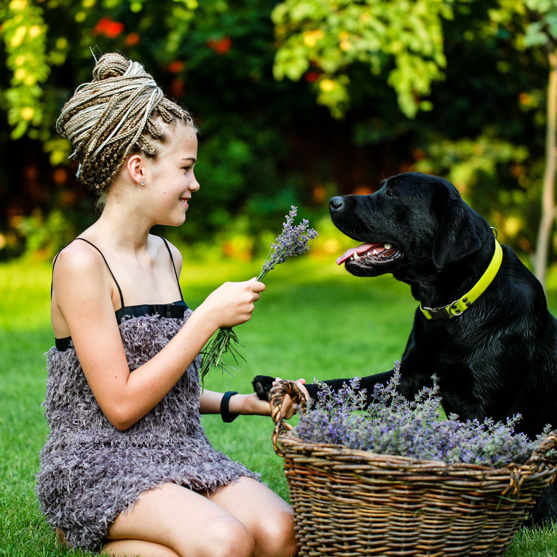 Лавандова історія. Наталя Твердохліб - дитячий та сімейний фотограф в Дрездені, Німеччина