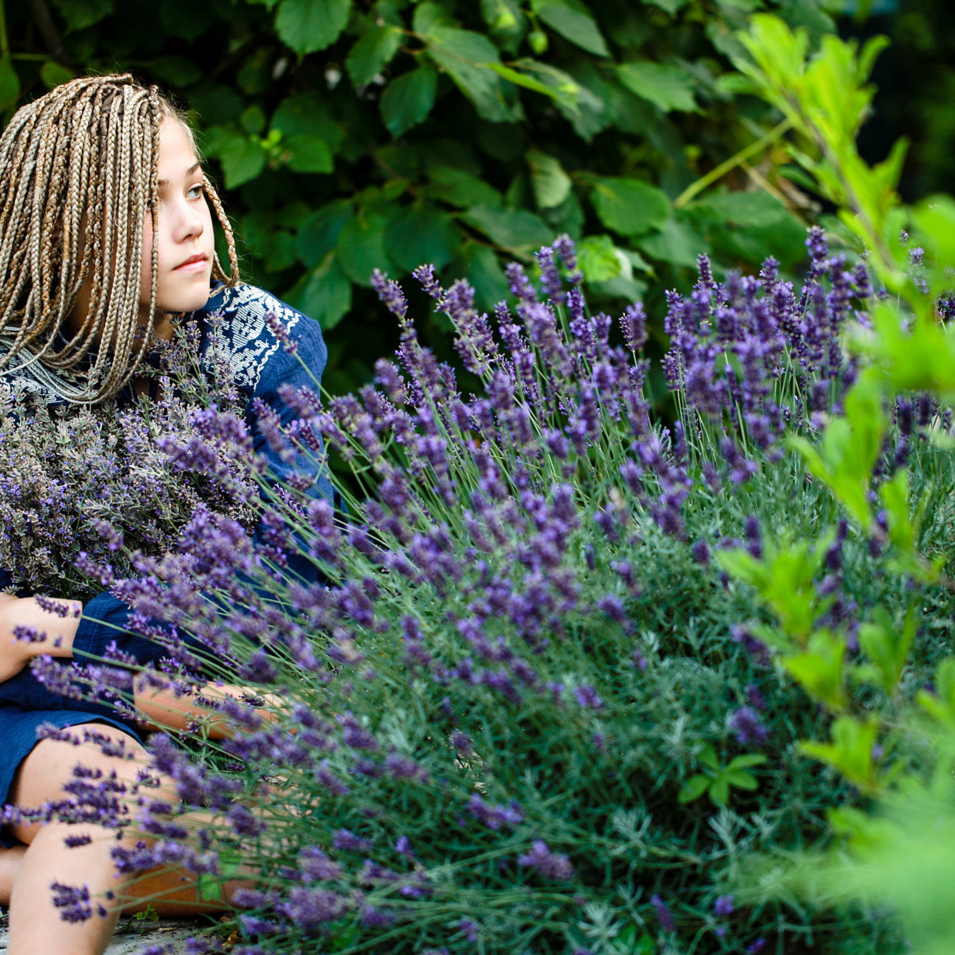 Лавандова історія. Наталя Твердохліб - дитячий та сімейний фотограф в Дрездені, Німеччина