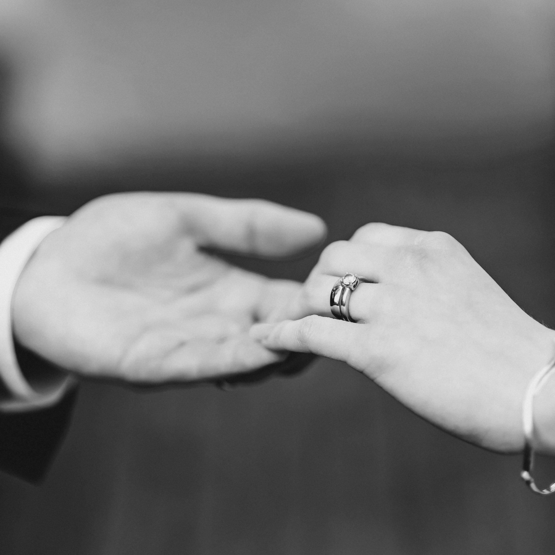 Reviews. Wedding and family photographer