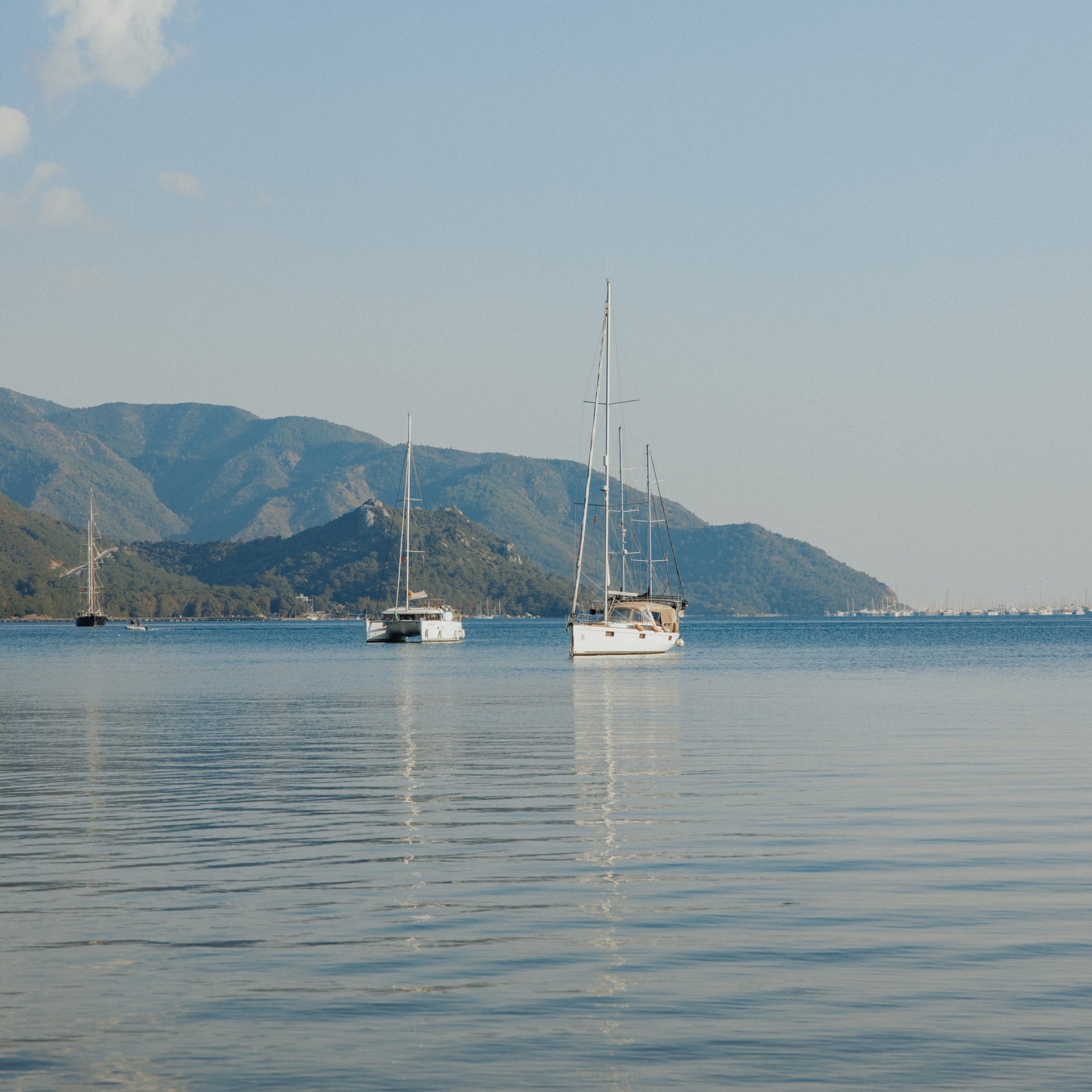 REVIEWS wedding and family photographer n Vancouver. Ivan Skufinsky — wedding and family photographer in Vancouver