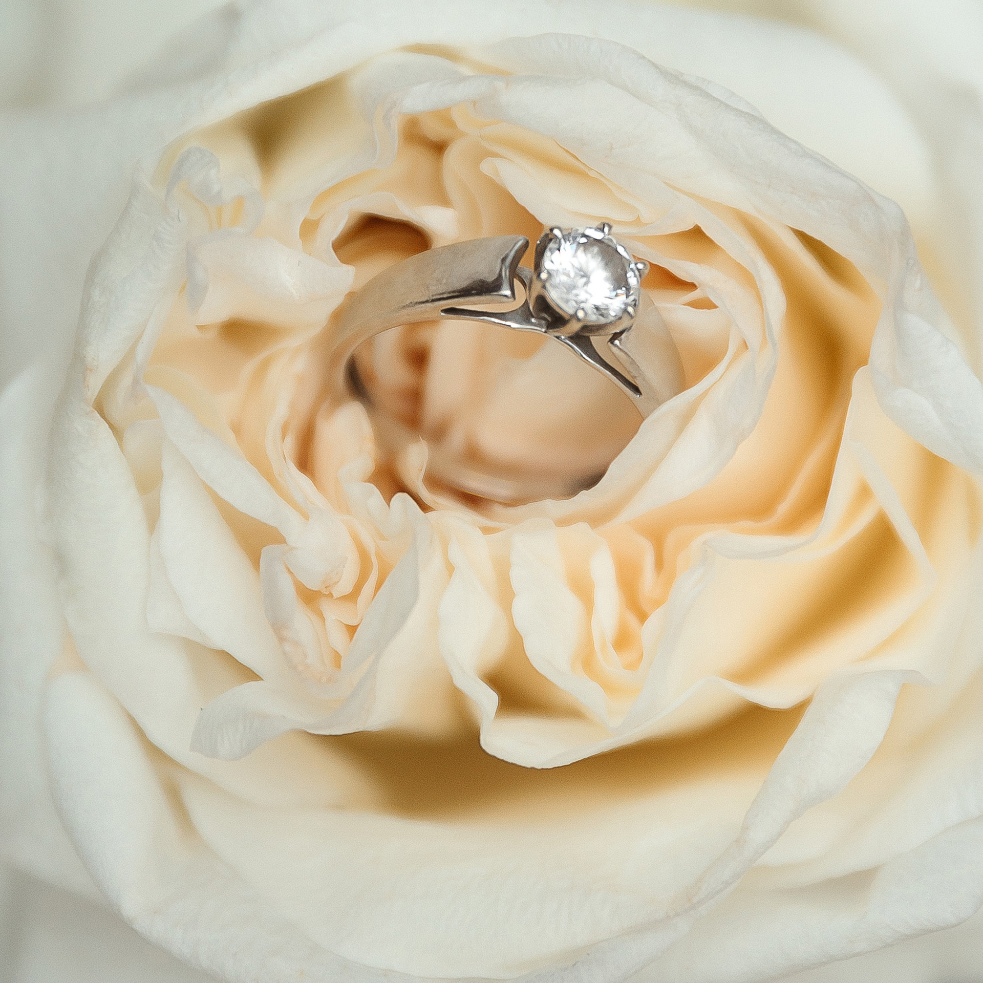 Відгуки. Весільний та сімейний фотограф Черкаси-Київ