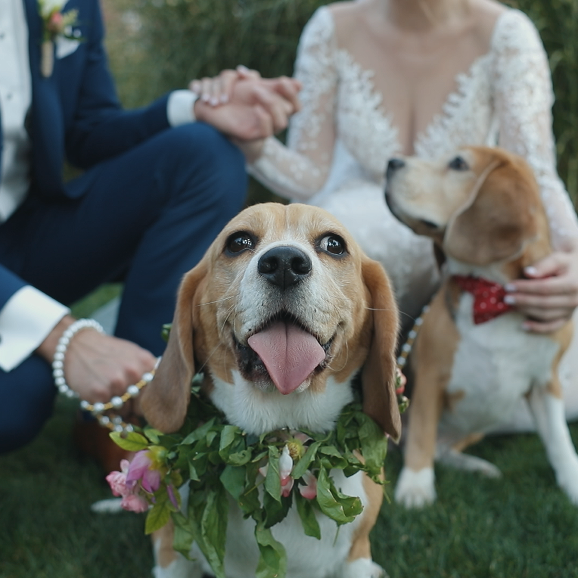 Відгуки. Весільне відео Київ