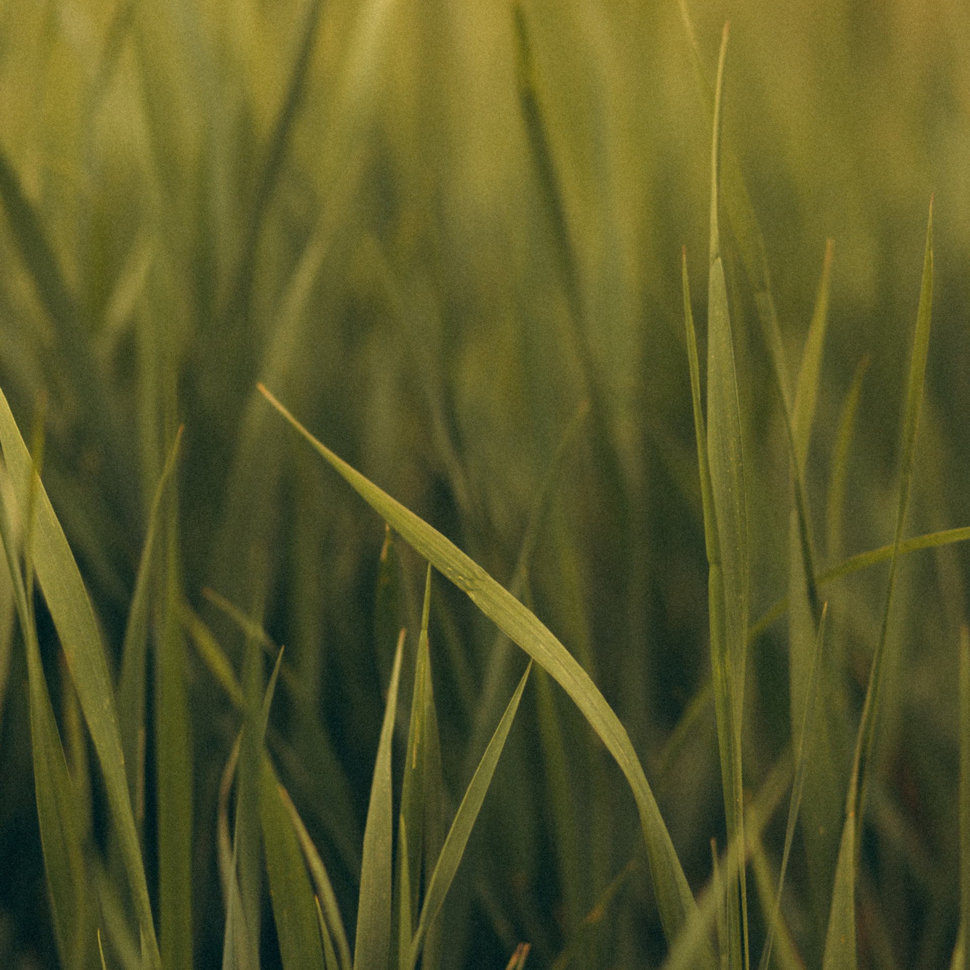 Відгуки. Головна