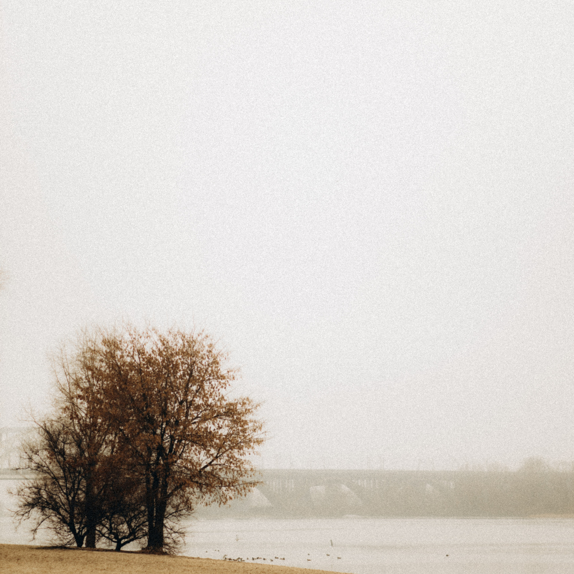 Відгуки. Головна