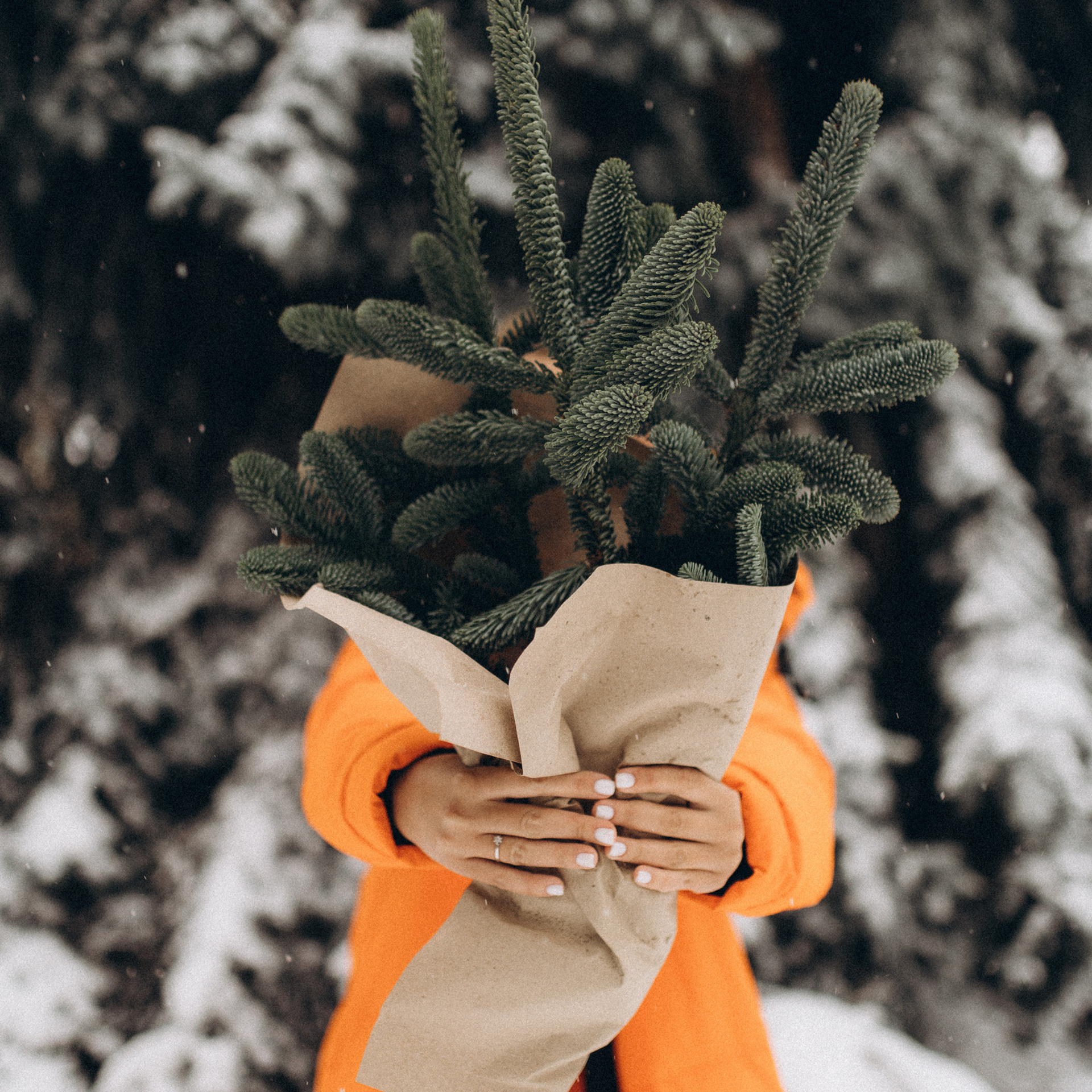 Відгуки. Головна