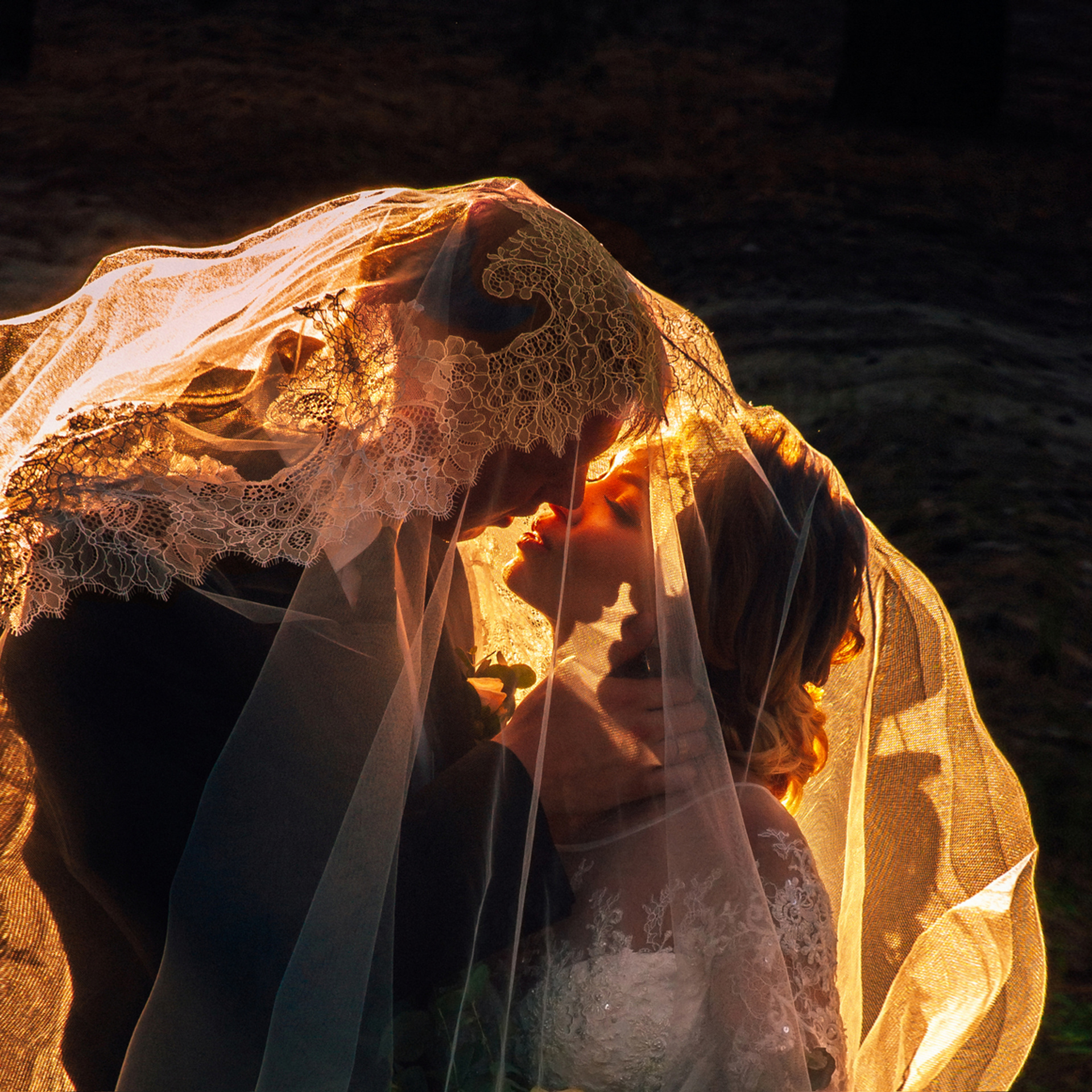 Reviews. Elegant Wedding Photography