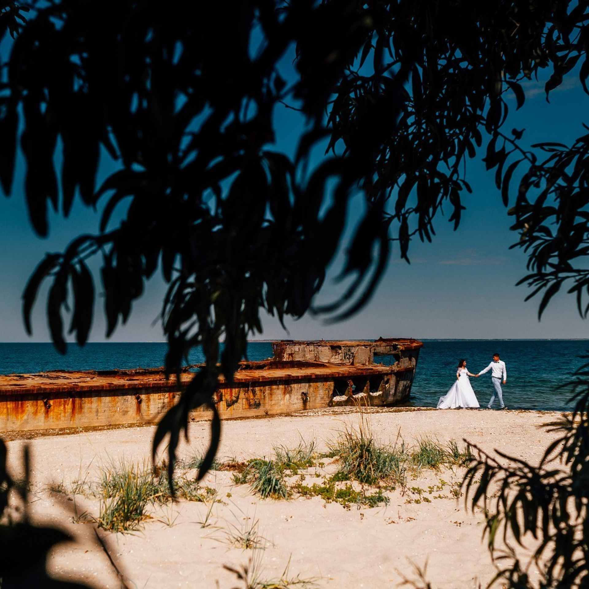 Reviews. Elegant Wedding Photography