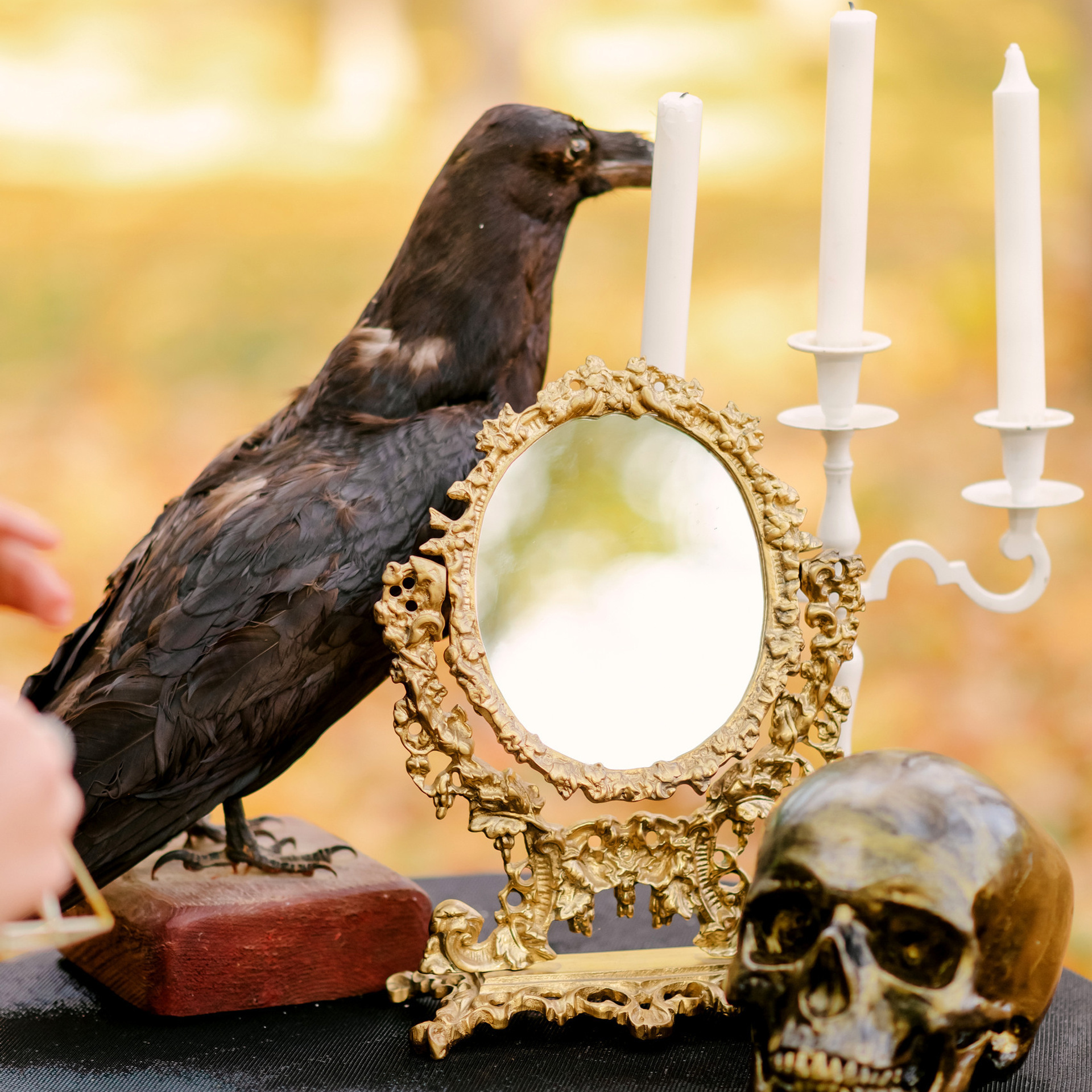 Відгуки. Фотограф Катерина Слободян Кам’янець-Подільський