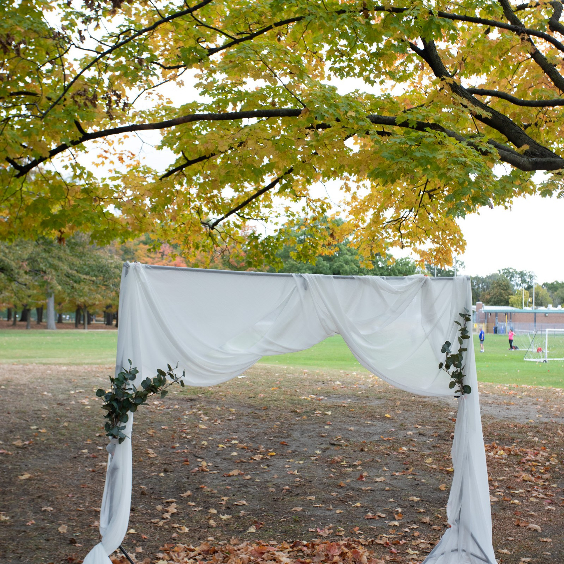 Отзывы. Ваш фотограф Алина Ши