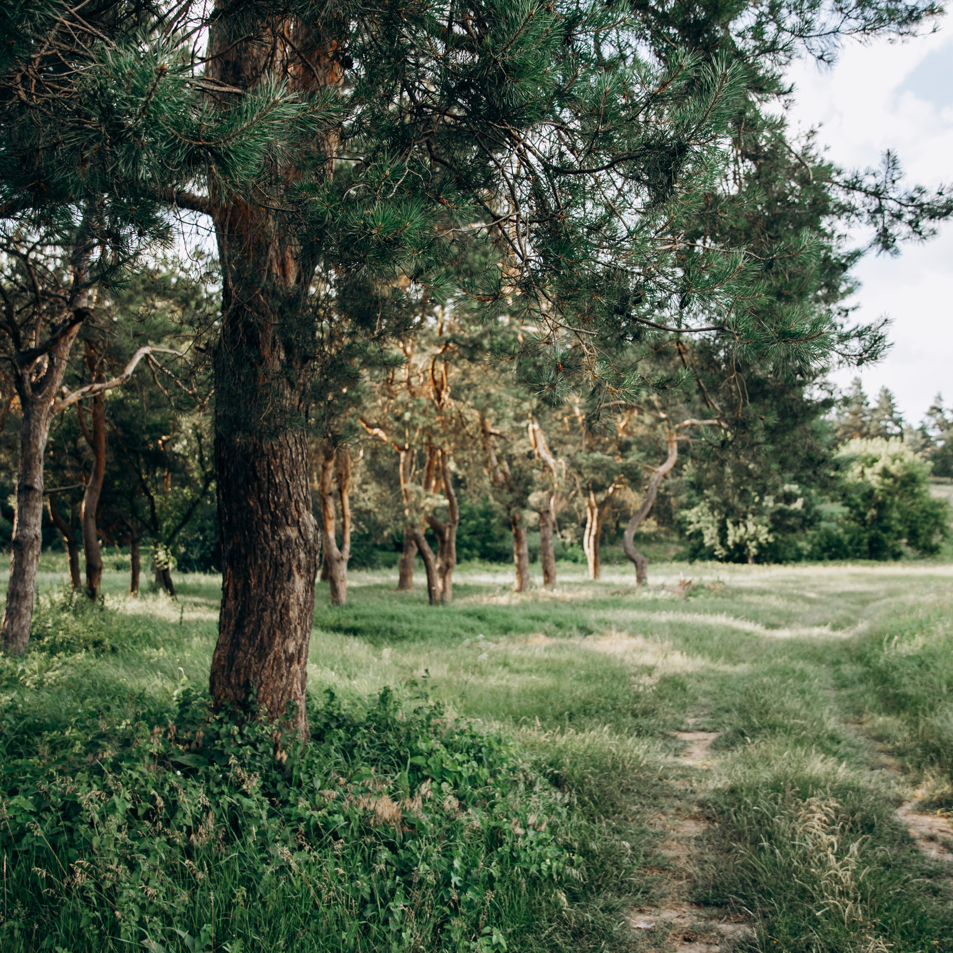Відгуки. Головна