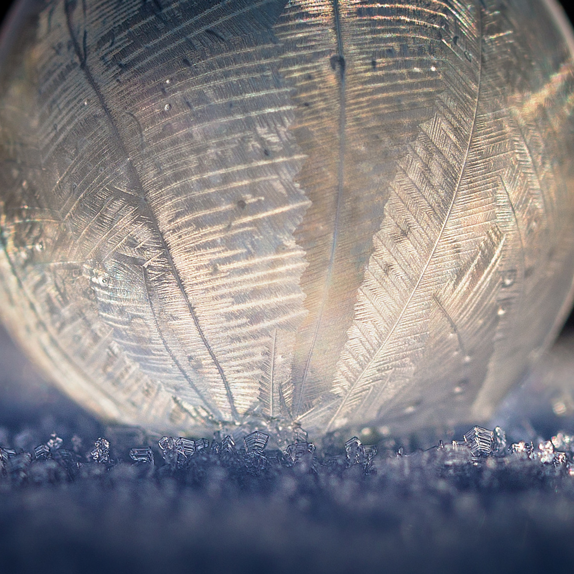 Frozen bubbles