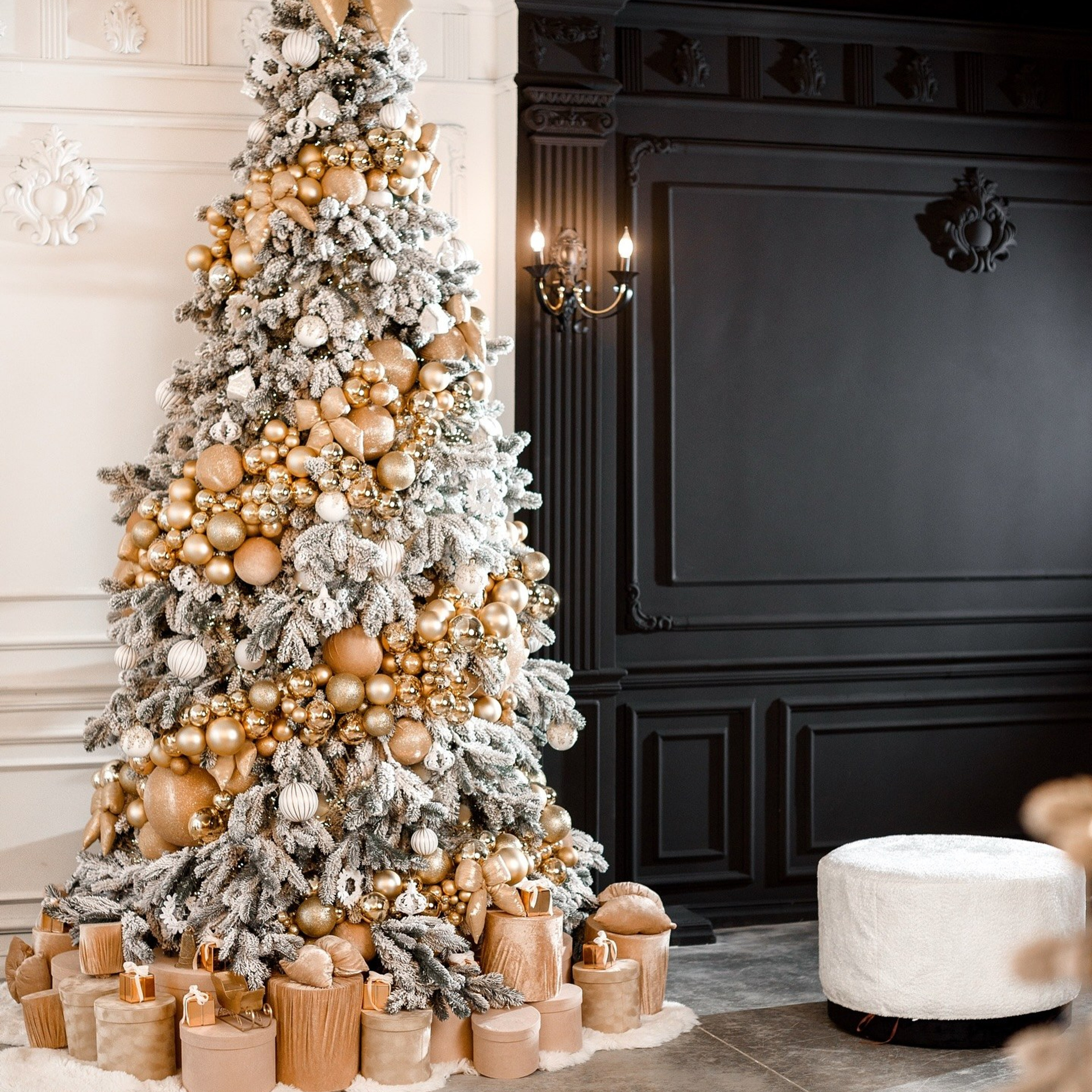 Рекомендовані студії. Весільний фотограф Львів Оля Грабовенська