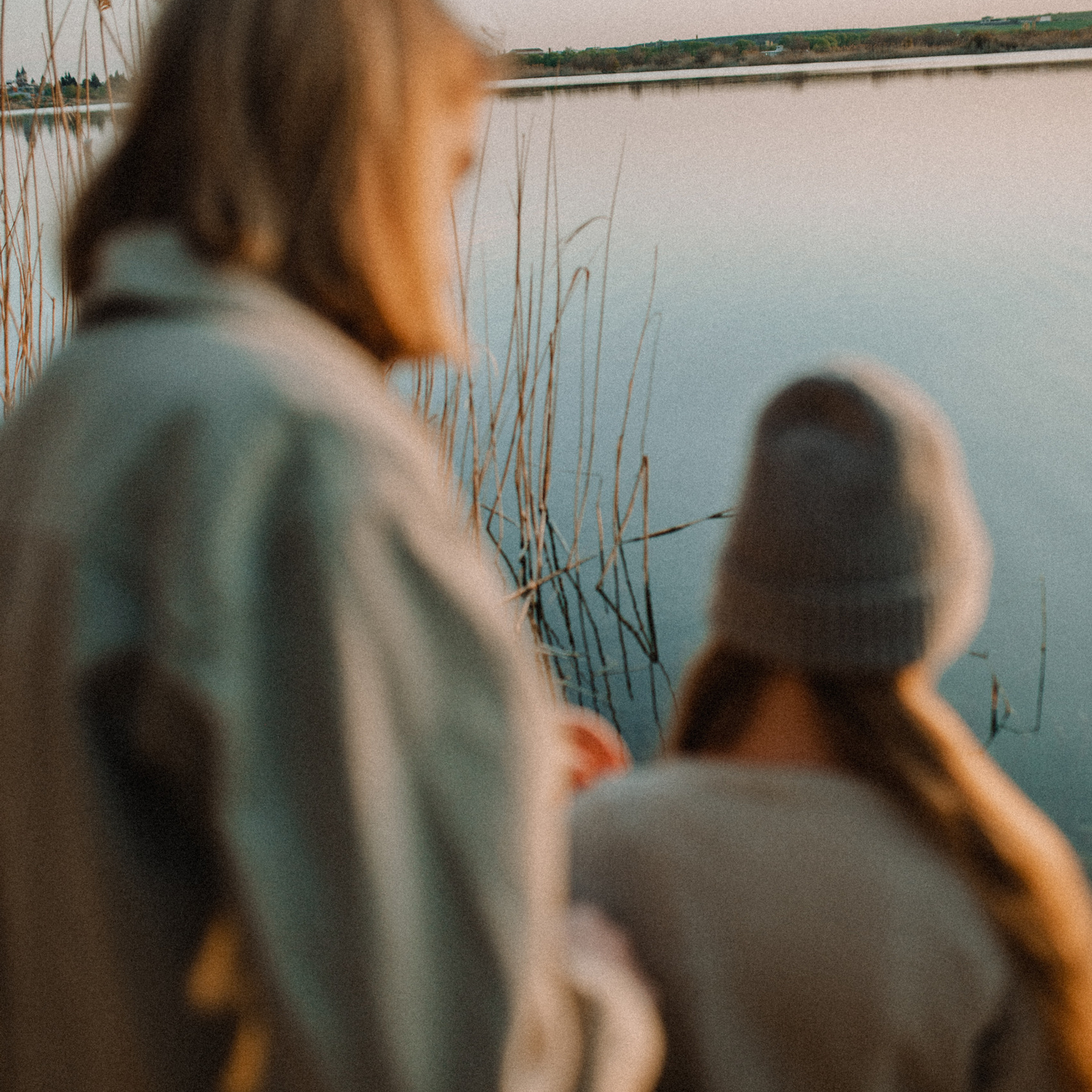 Feedback. Family photography in Europe. Vienna, Bratislava, London, Dublin, Copenhagen, Amsterdam, Barcelona