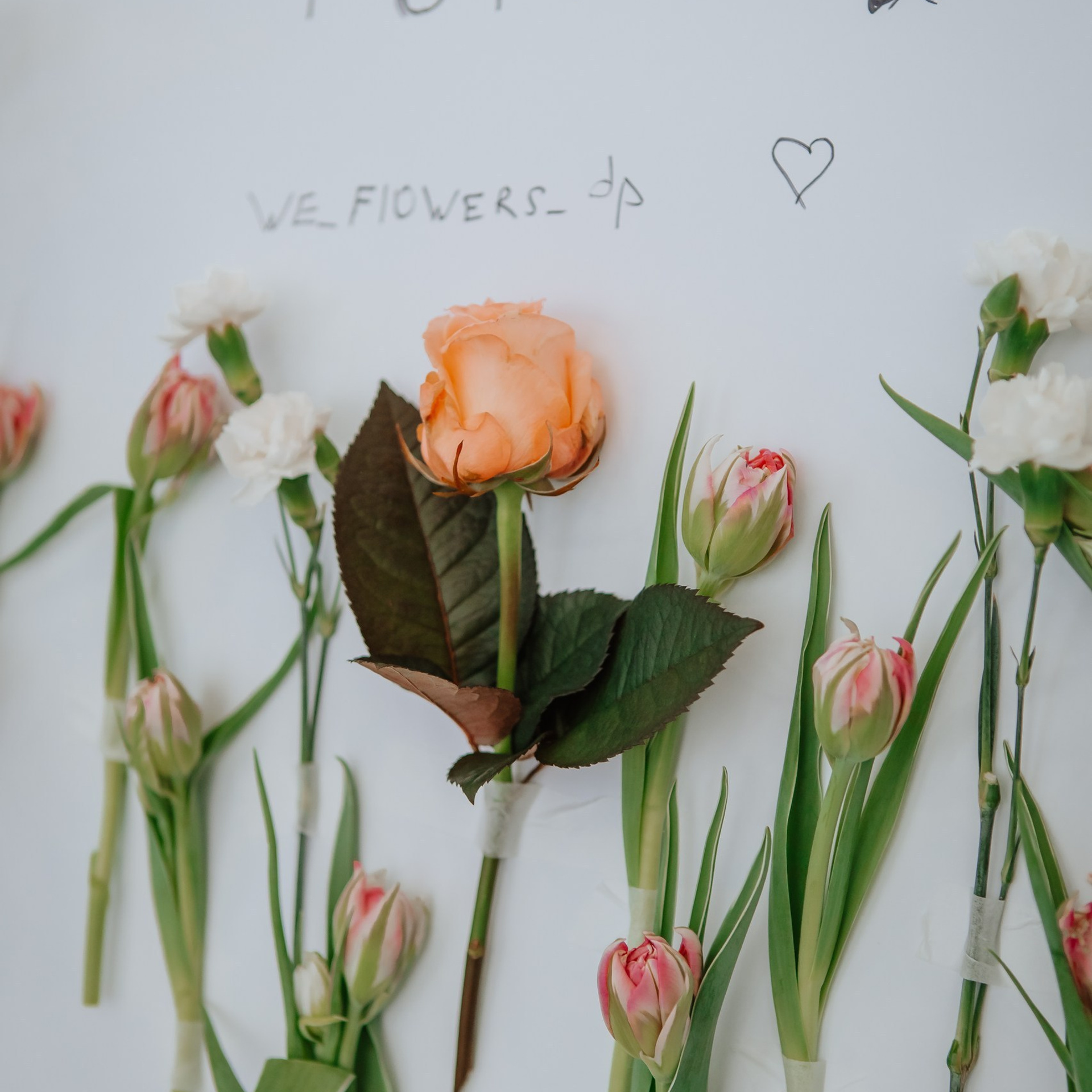 Отзывы. Фотограф — видеограф г. Днепр Марина Еременко