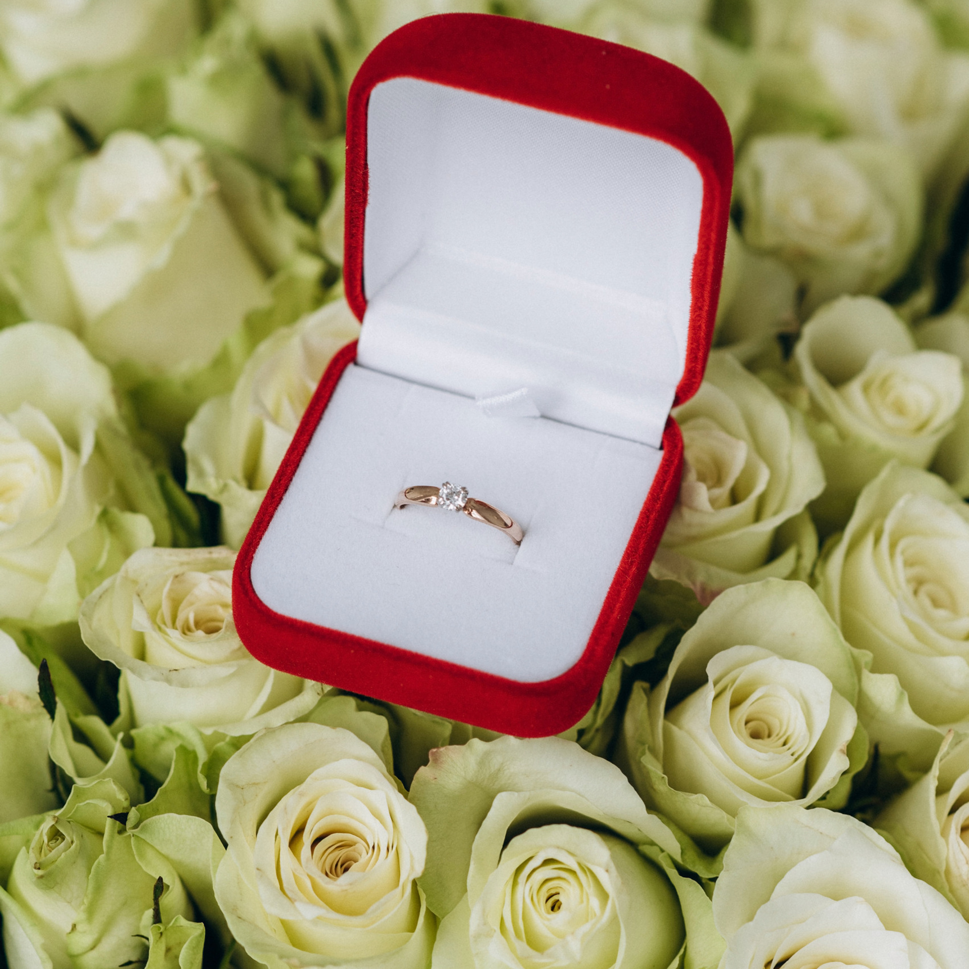 Відгуки. Сімейний, дитячий та індивідуальний фотограф в м. Тернопіль, м. Львів