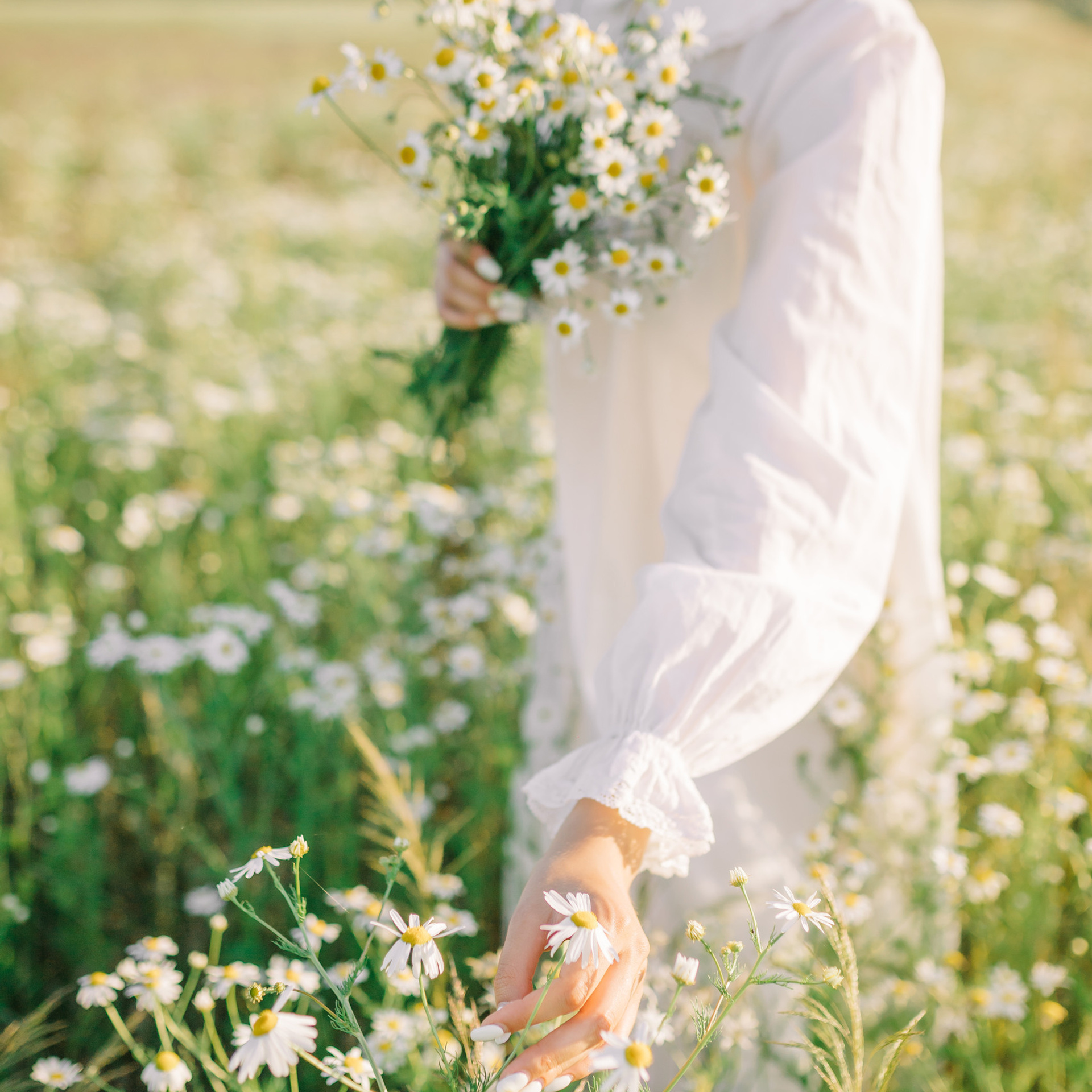 Reviews. Photographer