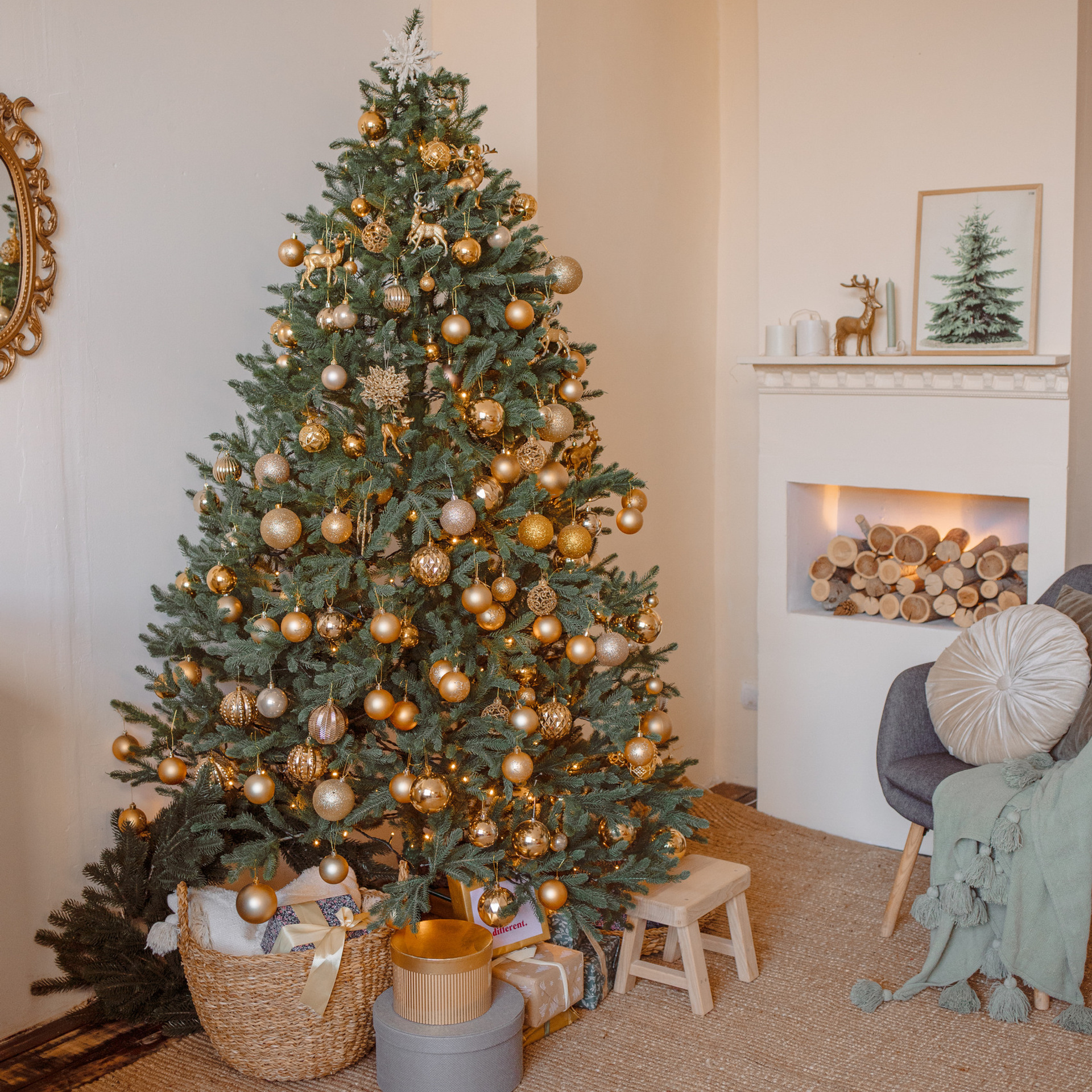 Reviews. Photographer