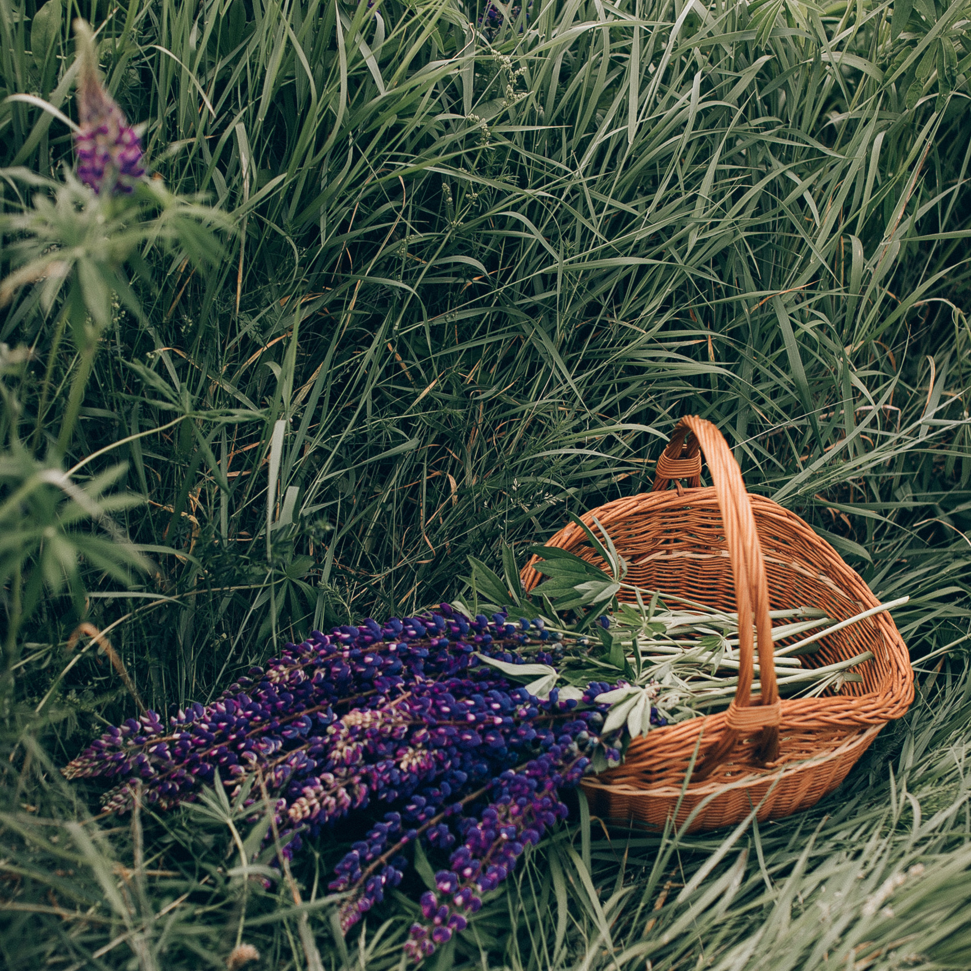 Відгуки. Головна