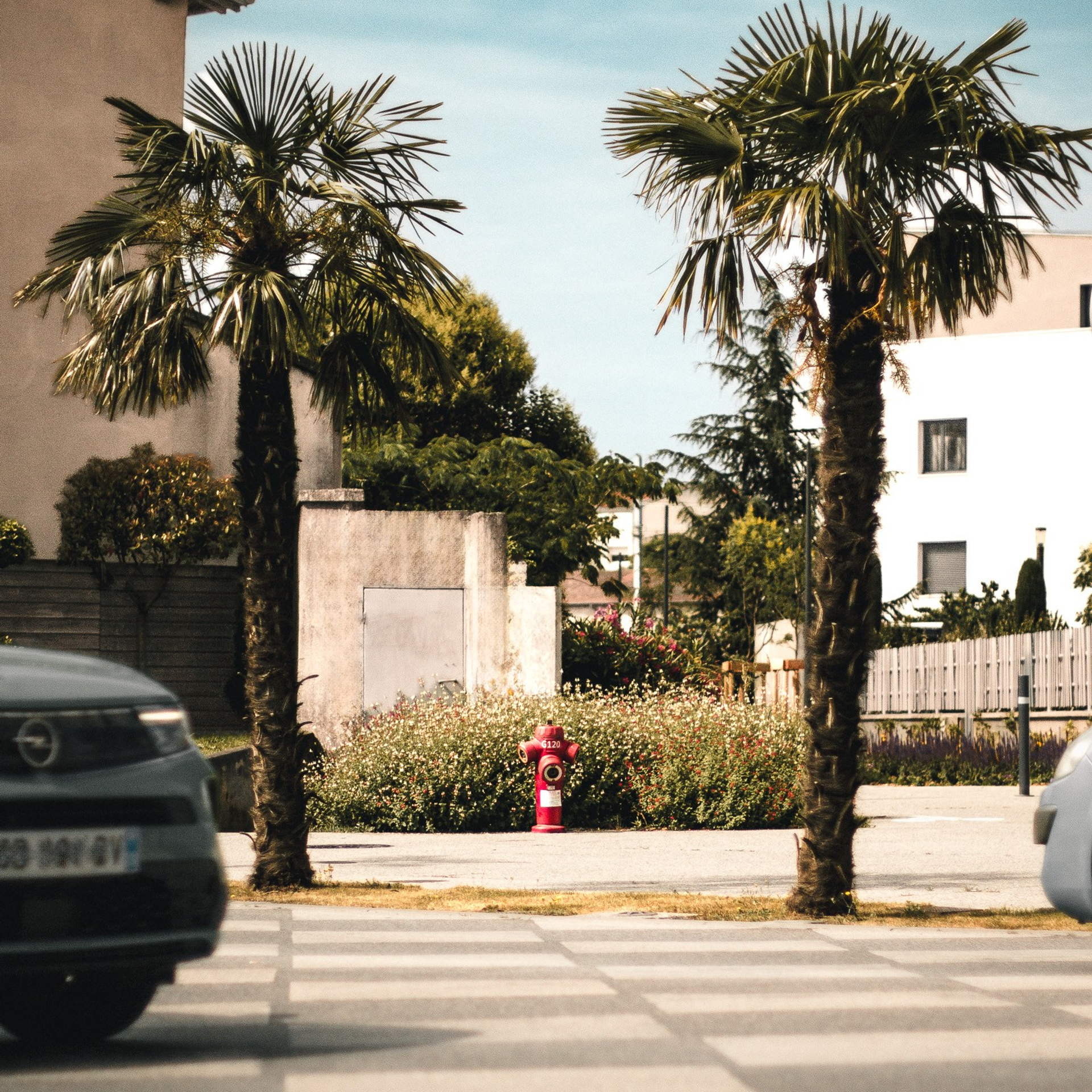 Professional Photography & Videography for Business — Lev Otinov