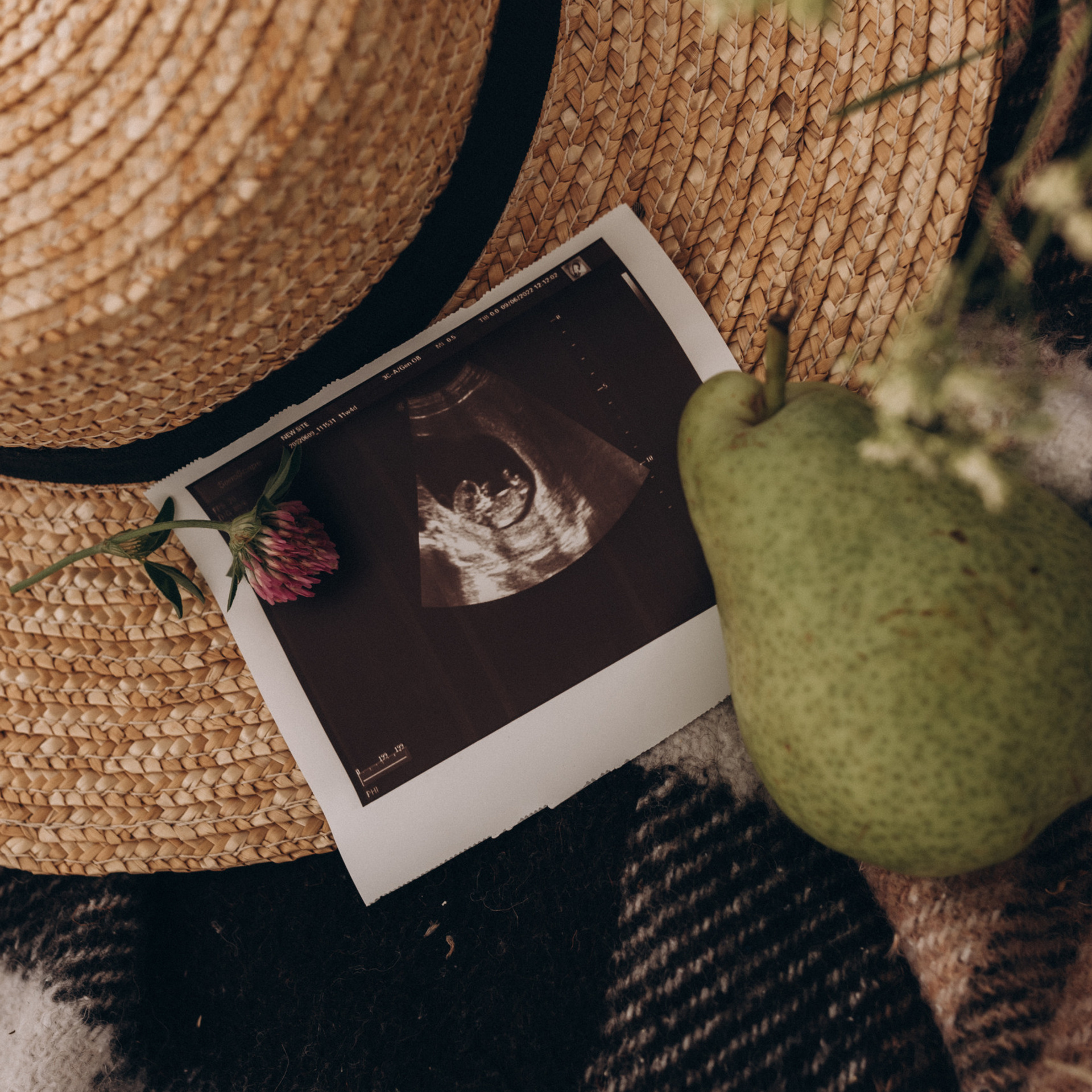 Відгуки. Семейный фотограф Екатерина Воробьева