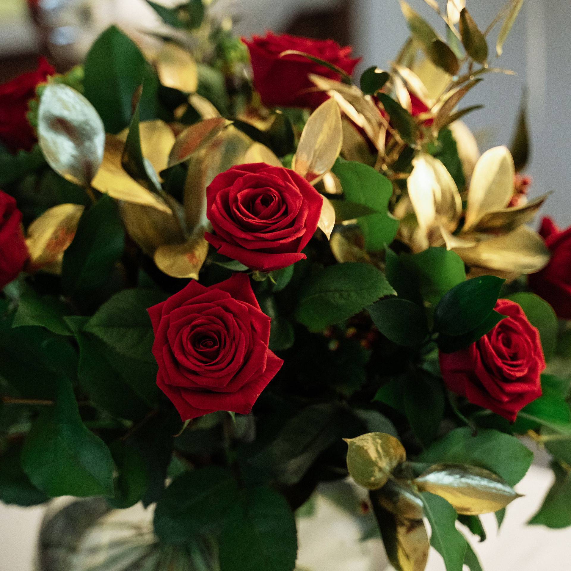 Reviews. Photographer in London Daria Agafonova