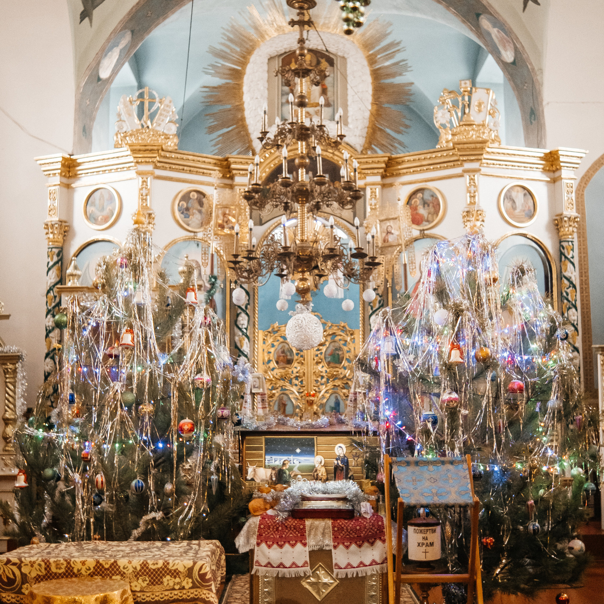 Відгуки. Плотиця Олександр. Весільний та сімейний фотограф