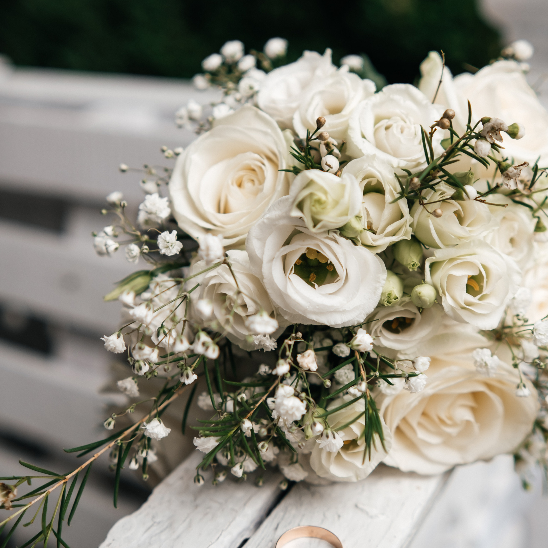 Відгуки. Плотиця Олександр. Весільний та сімейний фотограф