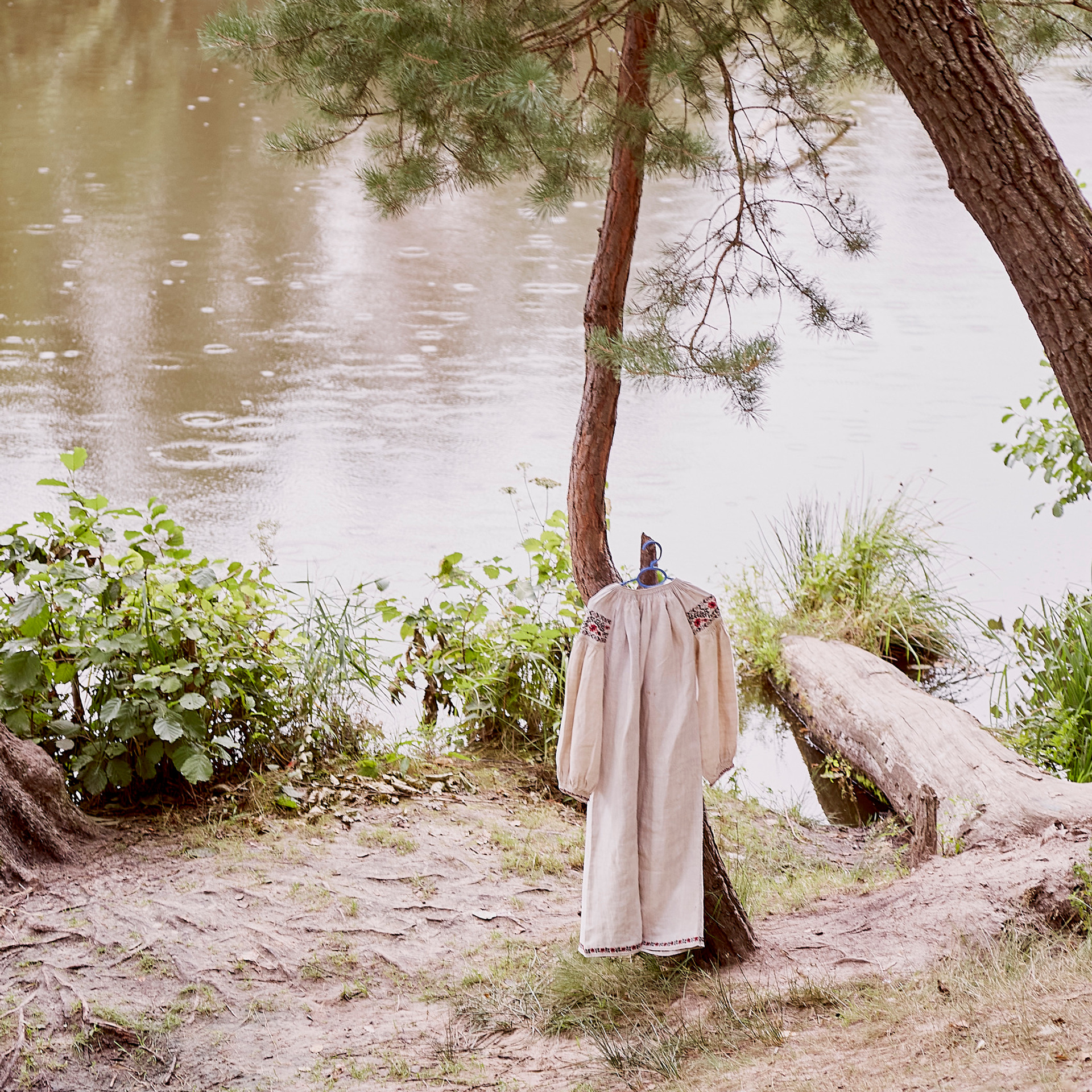 Відгуки про фотографа. Портретний та сімейний фотограф Київ Наталі Алькема