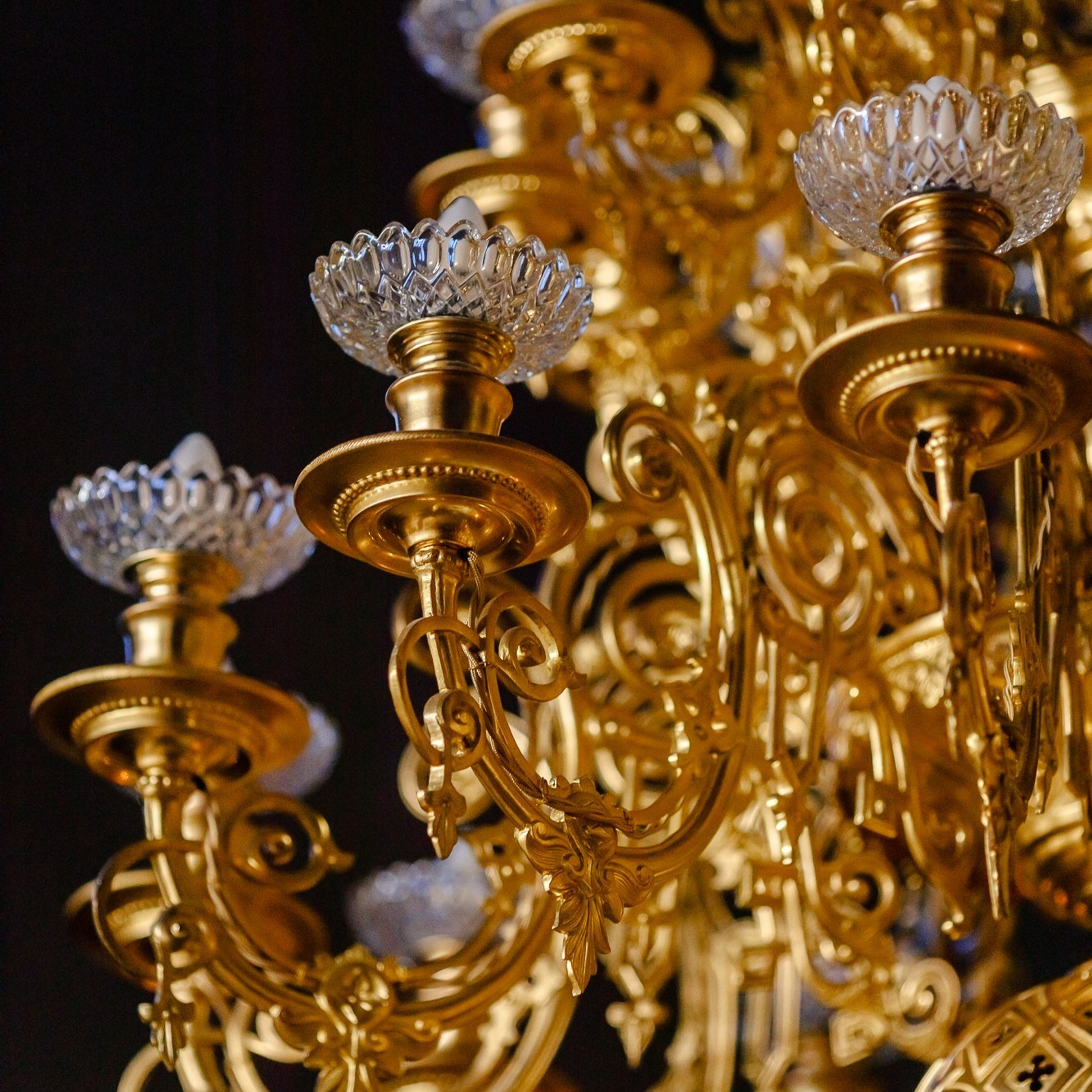 KUNDENMEINUNGEN. Ein Fotografin, mit dem es angenehm zu arbeiten ist